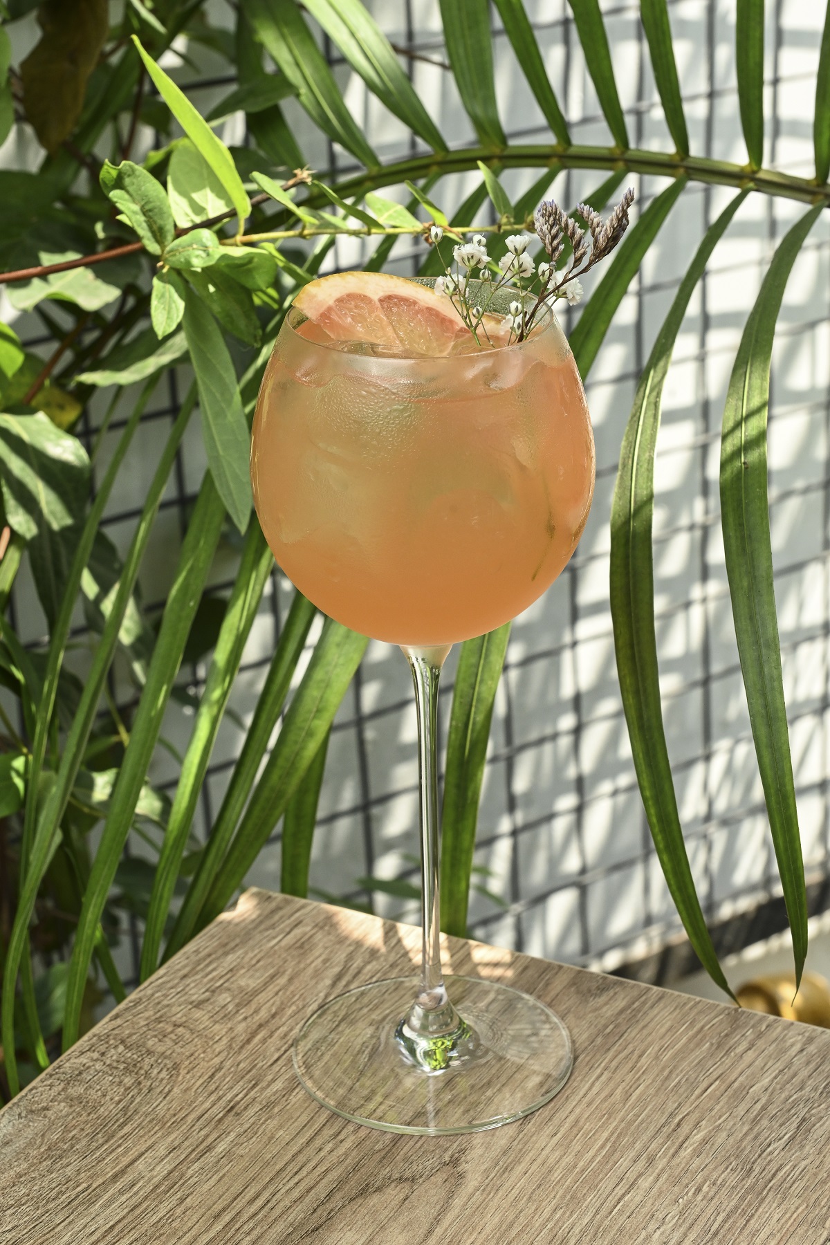 Gran Punch