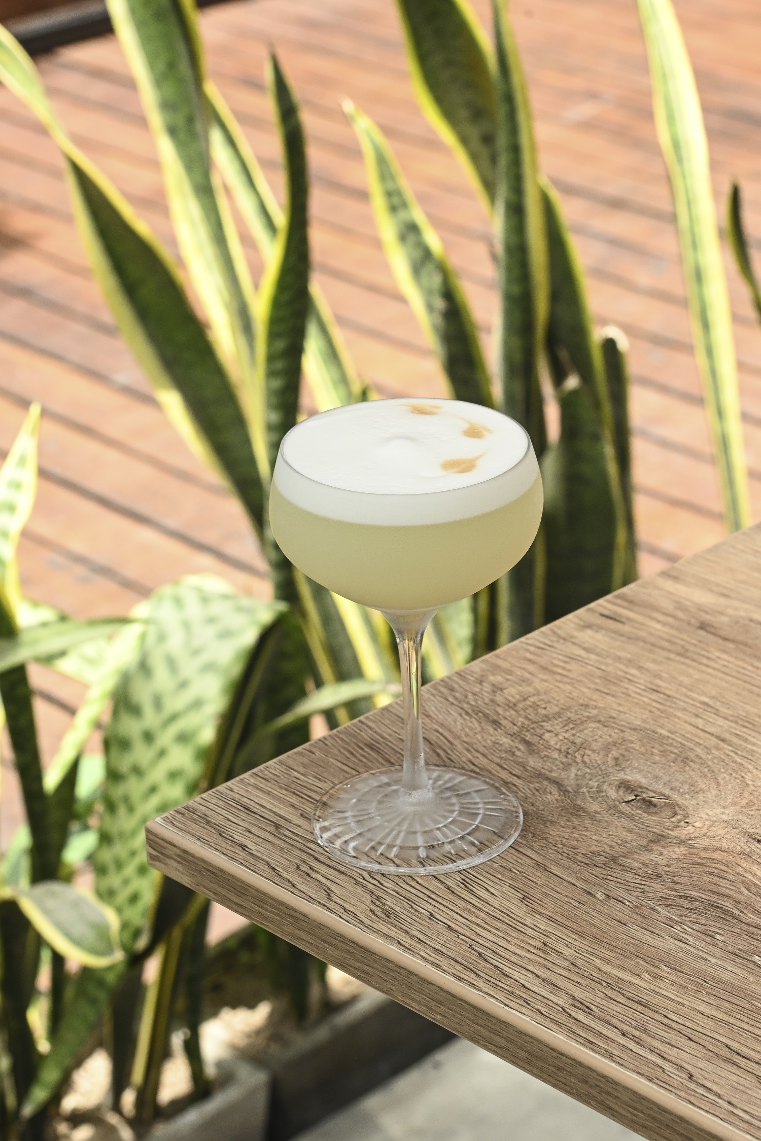 Pisco Sour