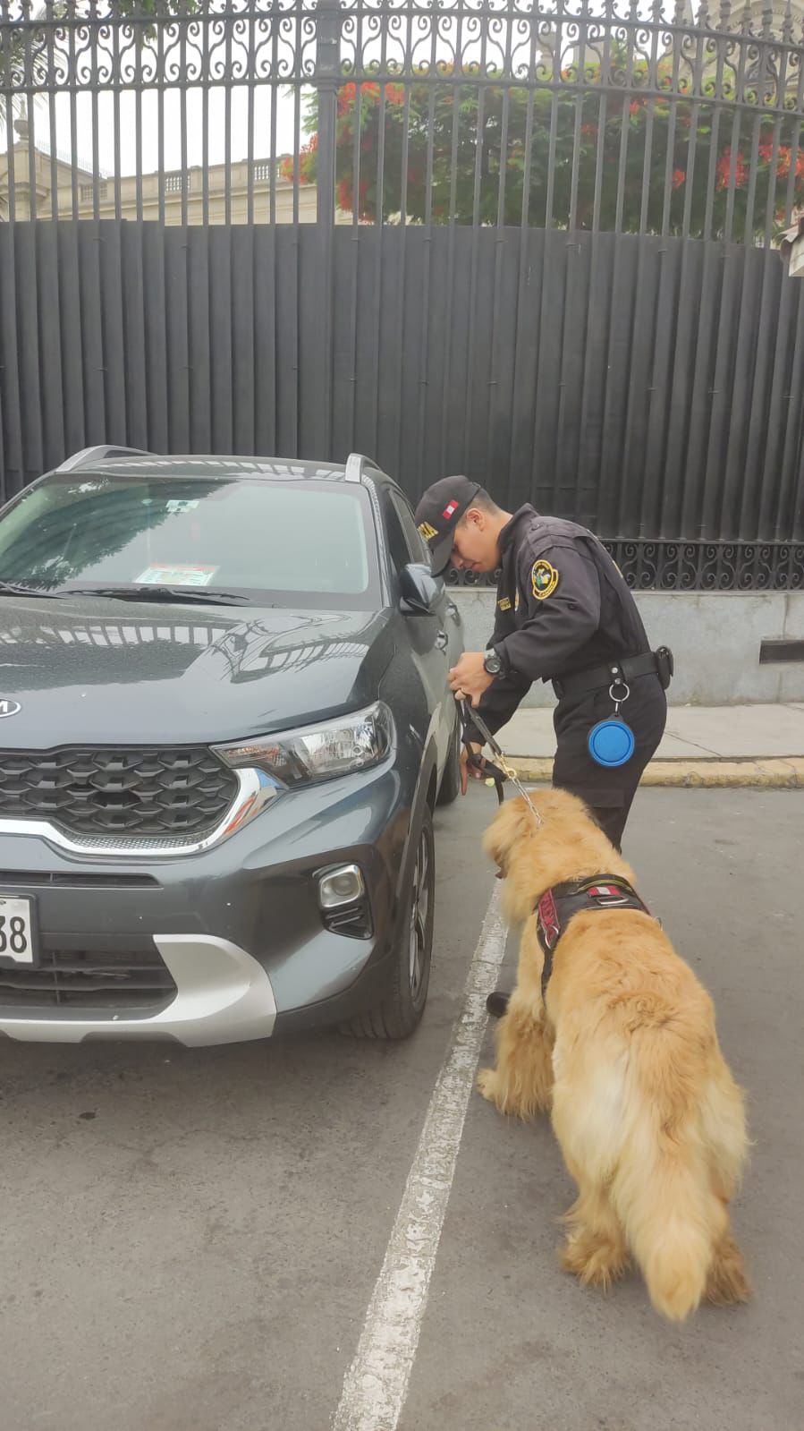 Unidad Canina