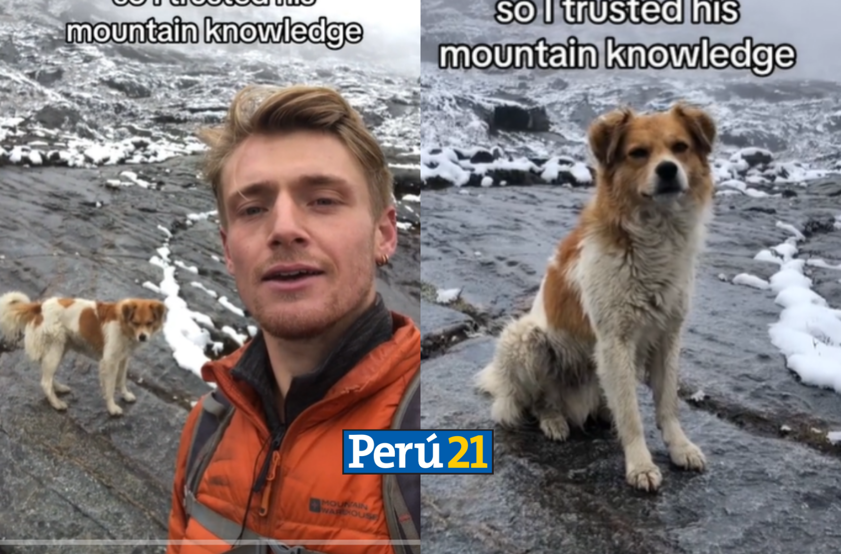 PERRITO HUARAZ