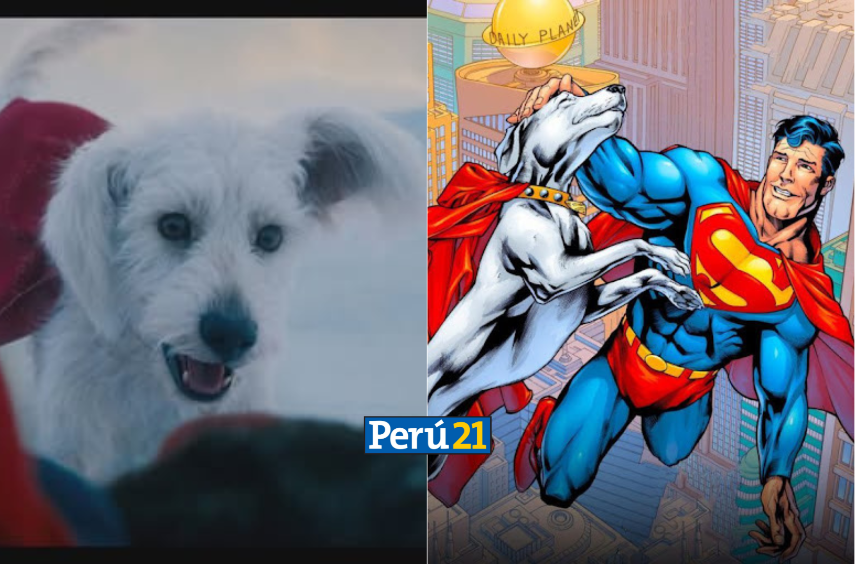 Krypto