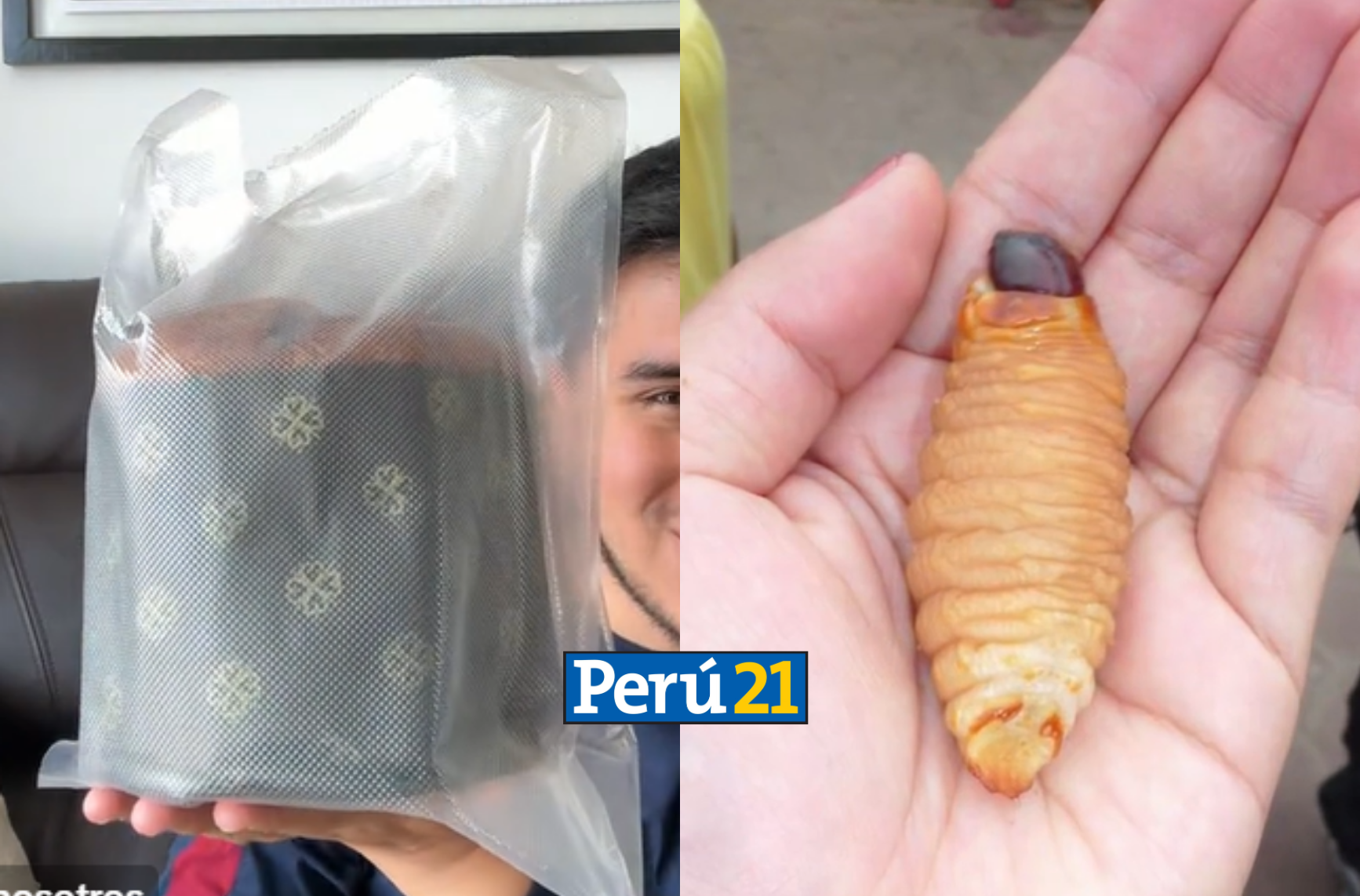 panetón de suri