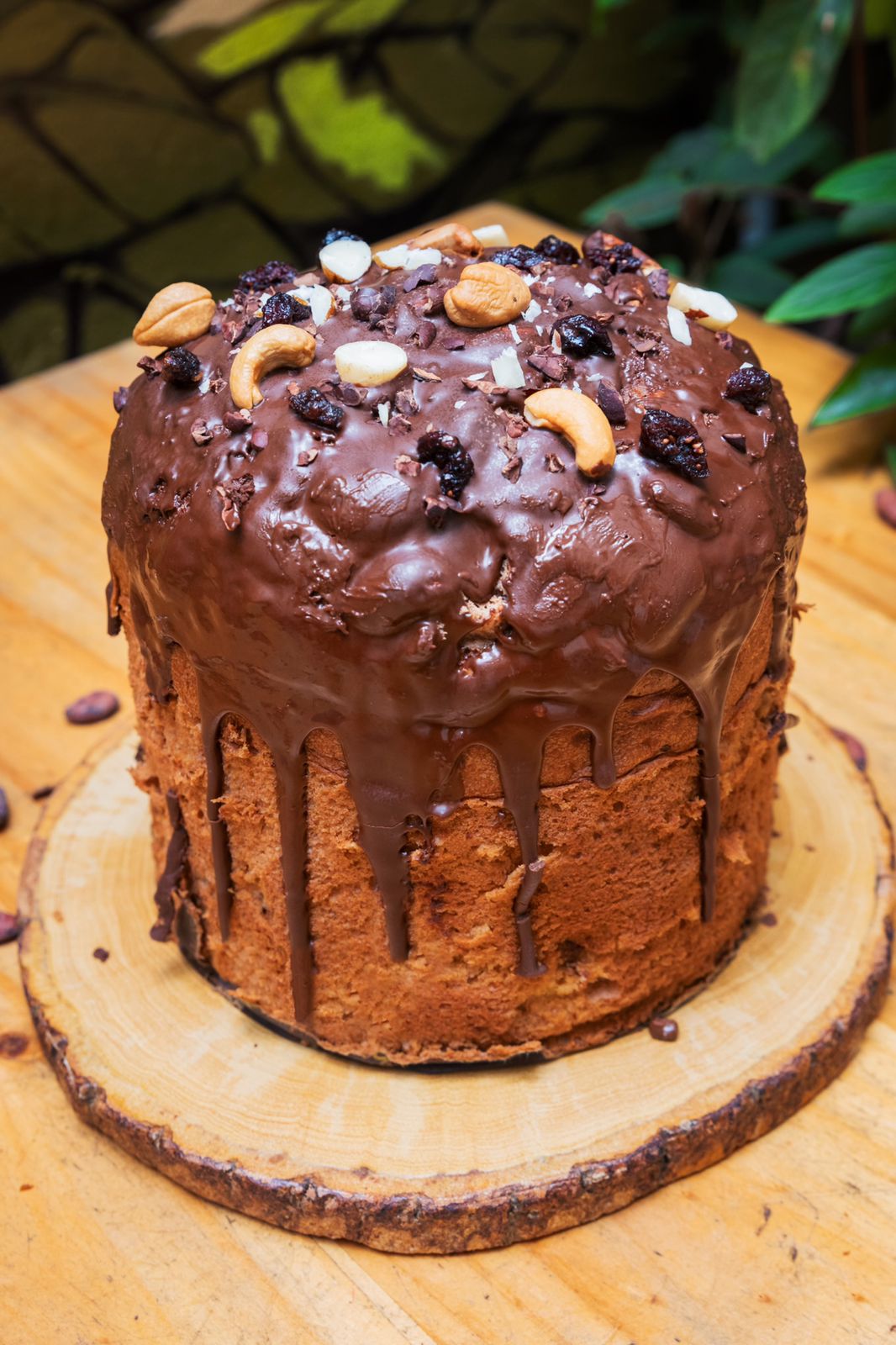 Panetón de Chocolate. 