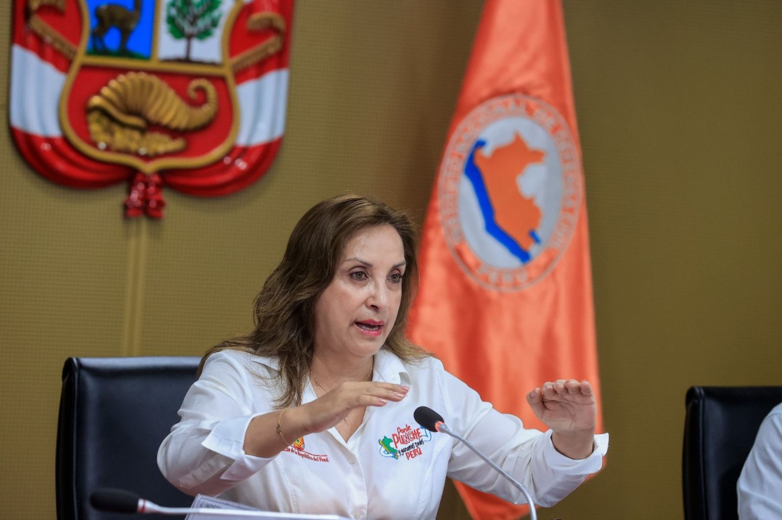 Dina Boluarte