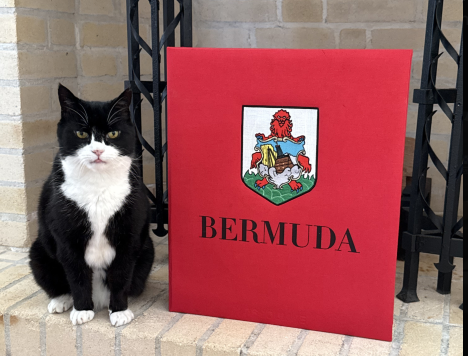 Palmerston dejó el Ministerio de Asuntos Exteriores en 2020. (Foto: X)