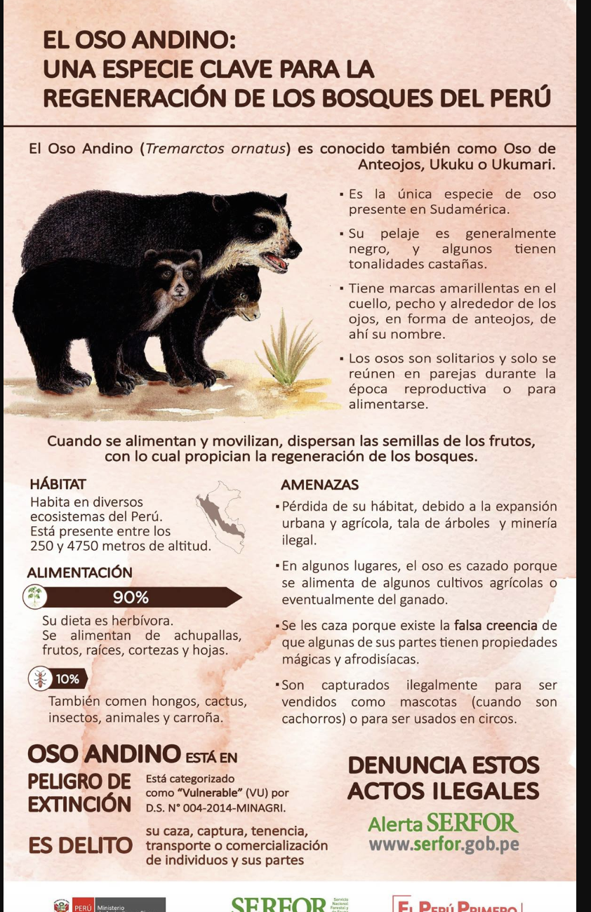 Infografía OSO