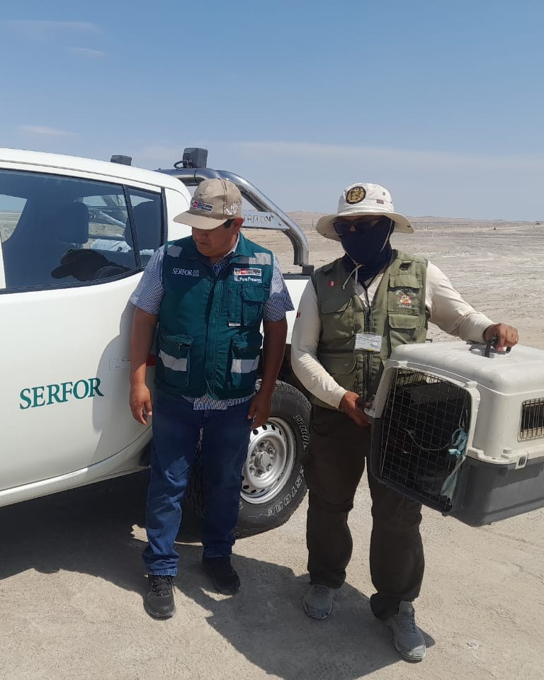 SERFOR 