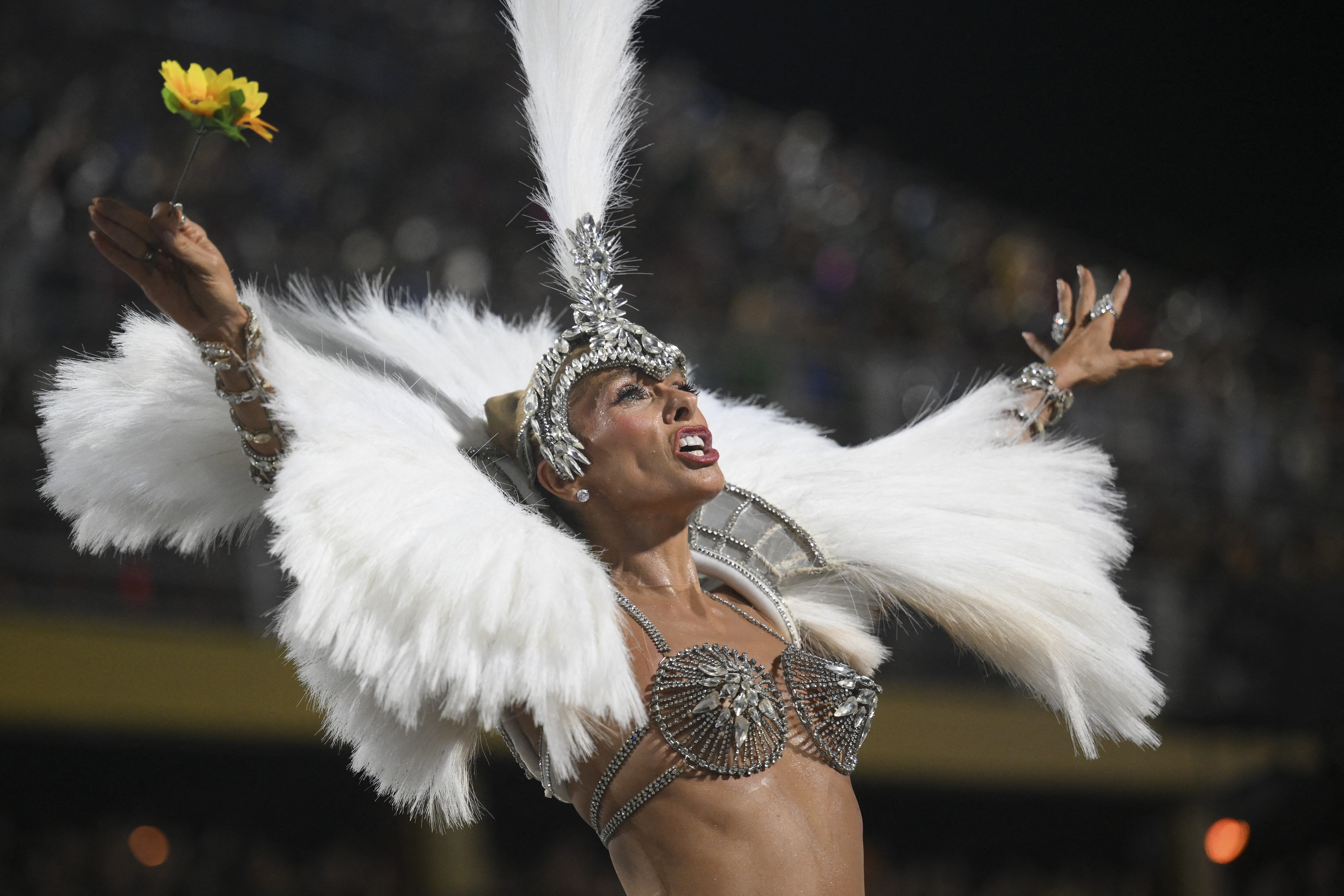 Beija-Flor