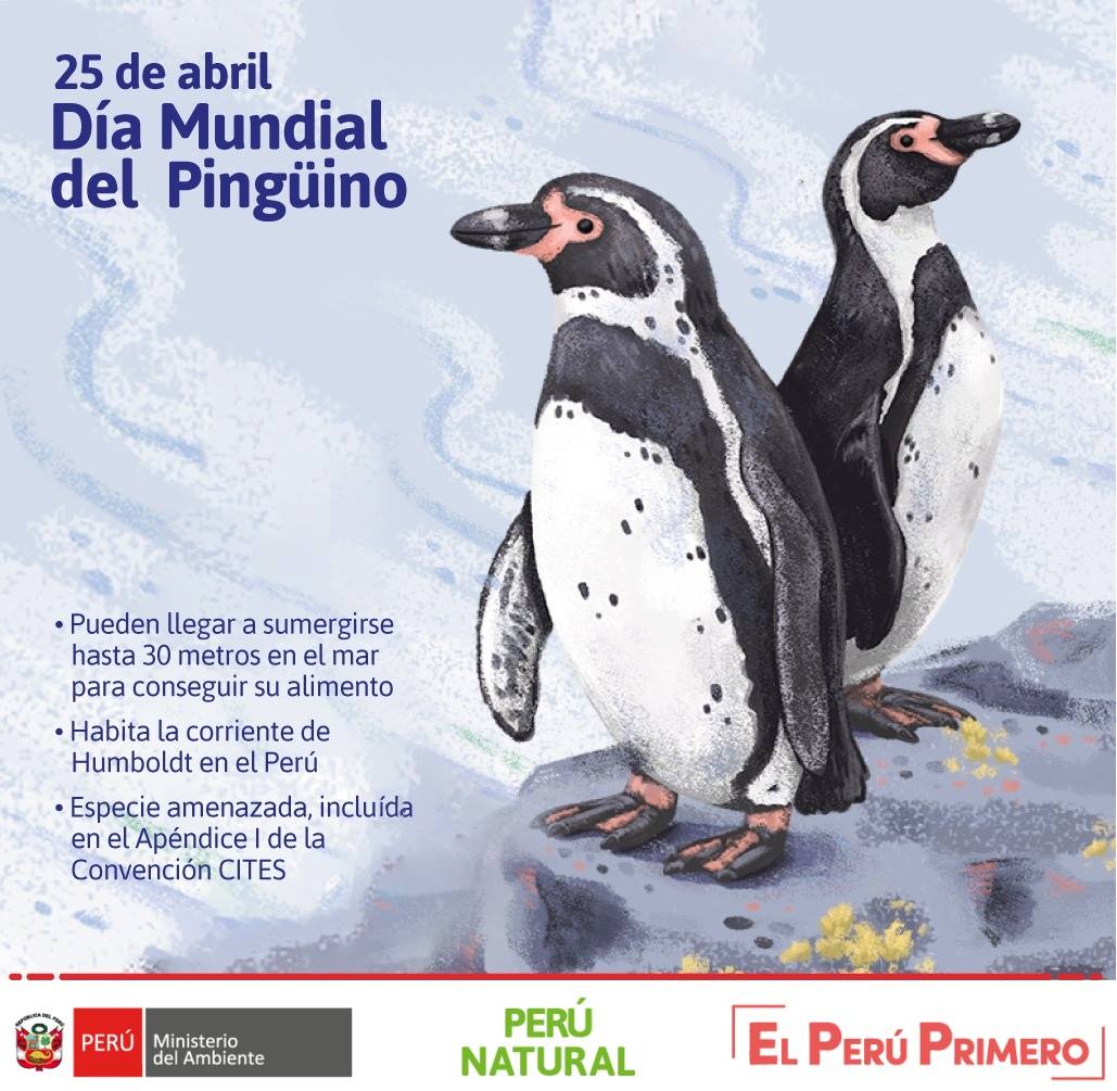 Día del Pingüino 