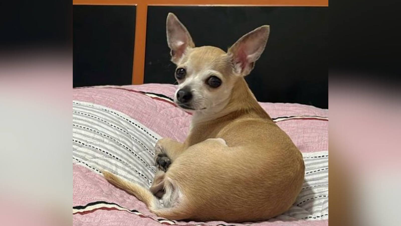 MATEO