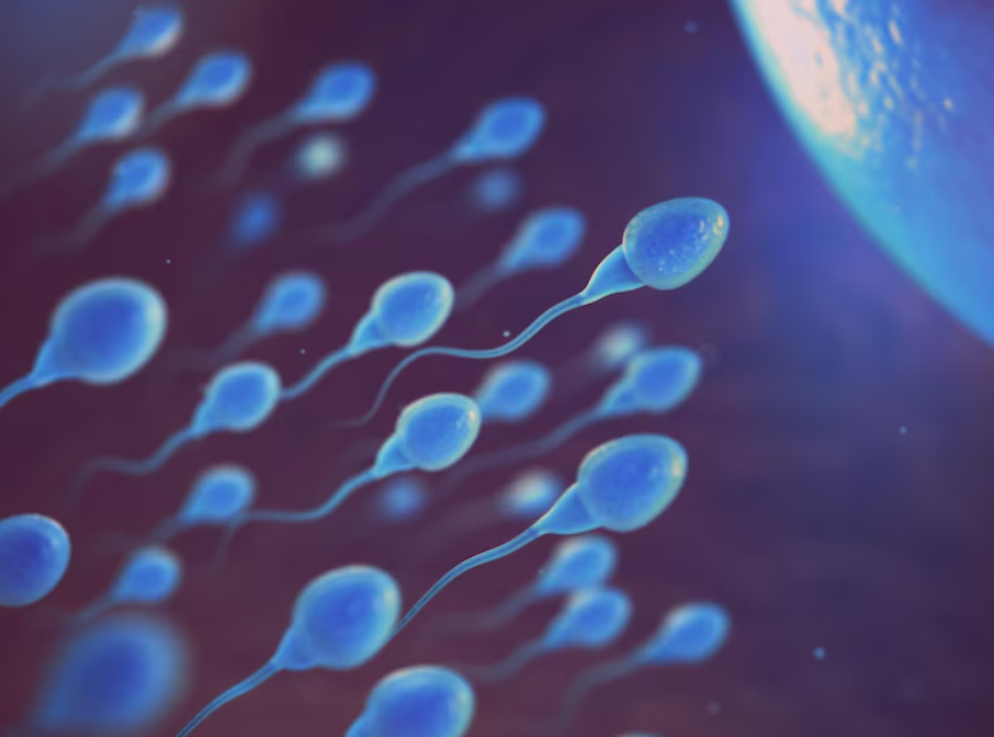 esperma
