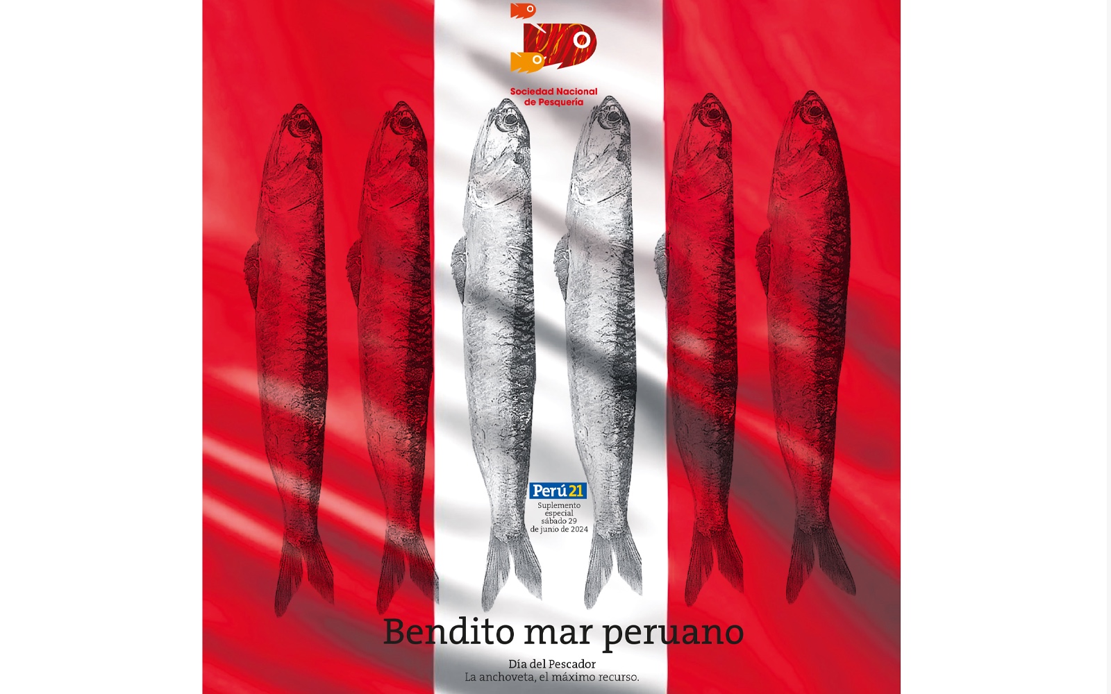 Bendito mar peruano: La Anchoveta el máximo recurso. 