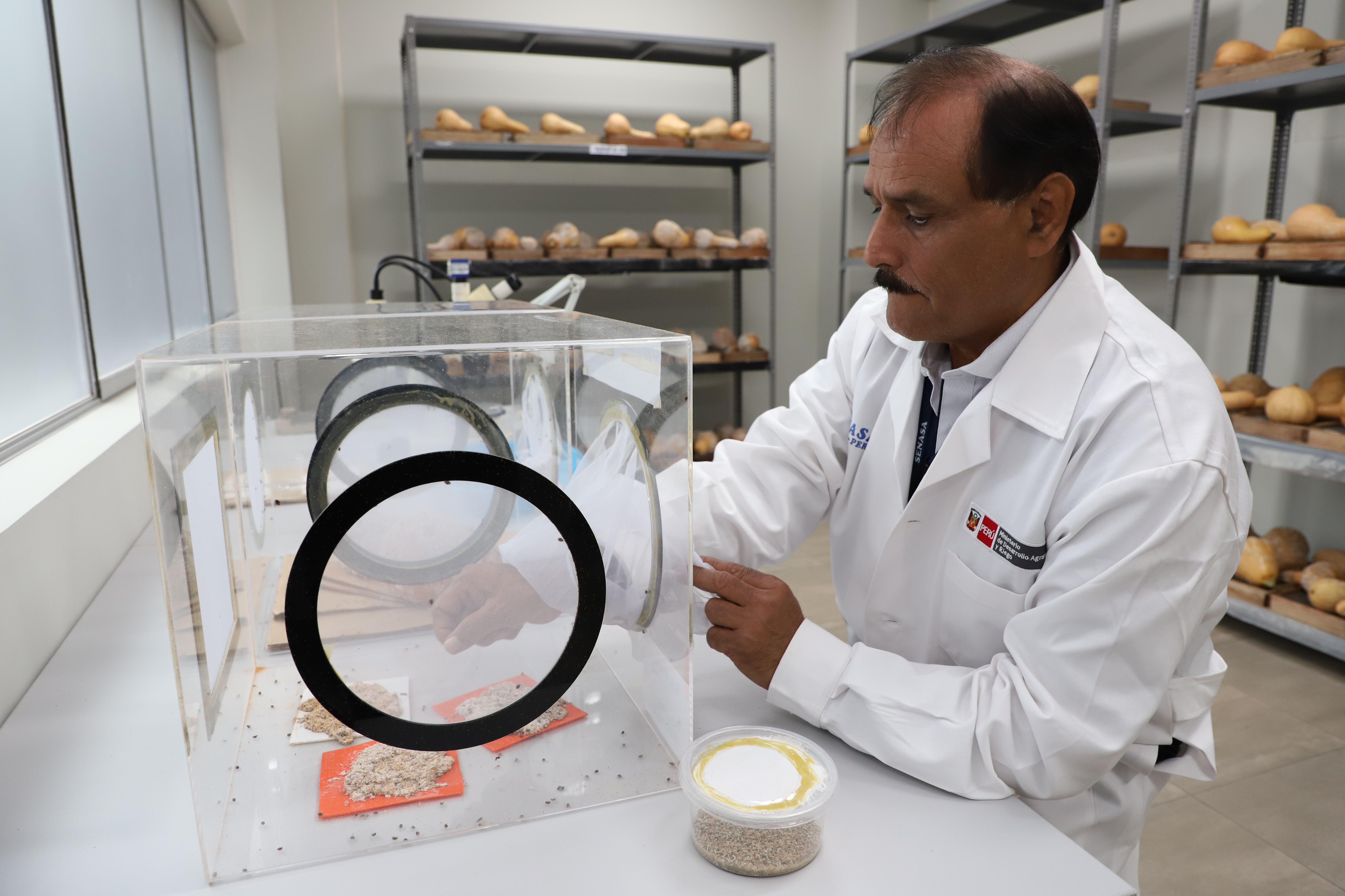 Centro de Producción de Insectos
