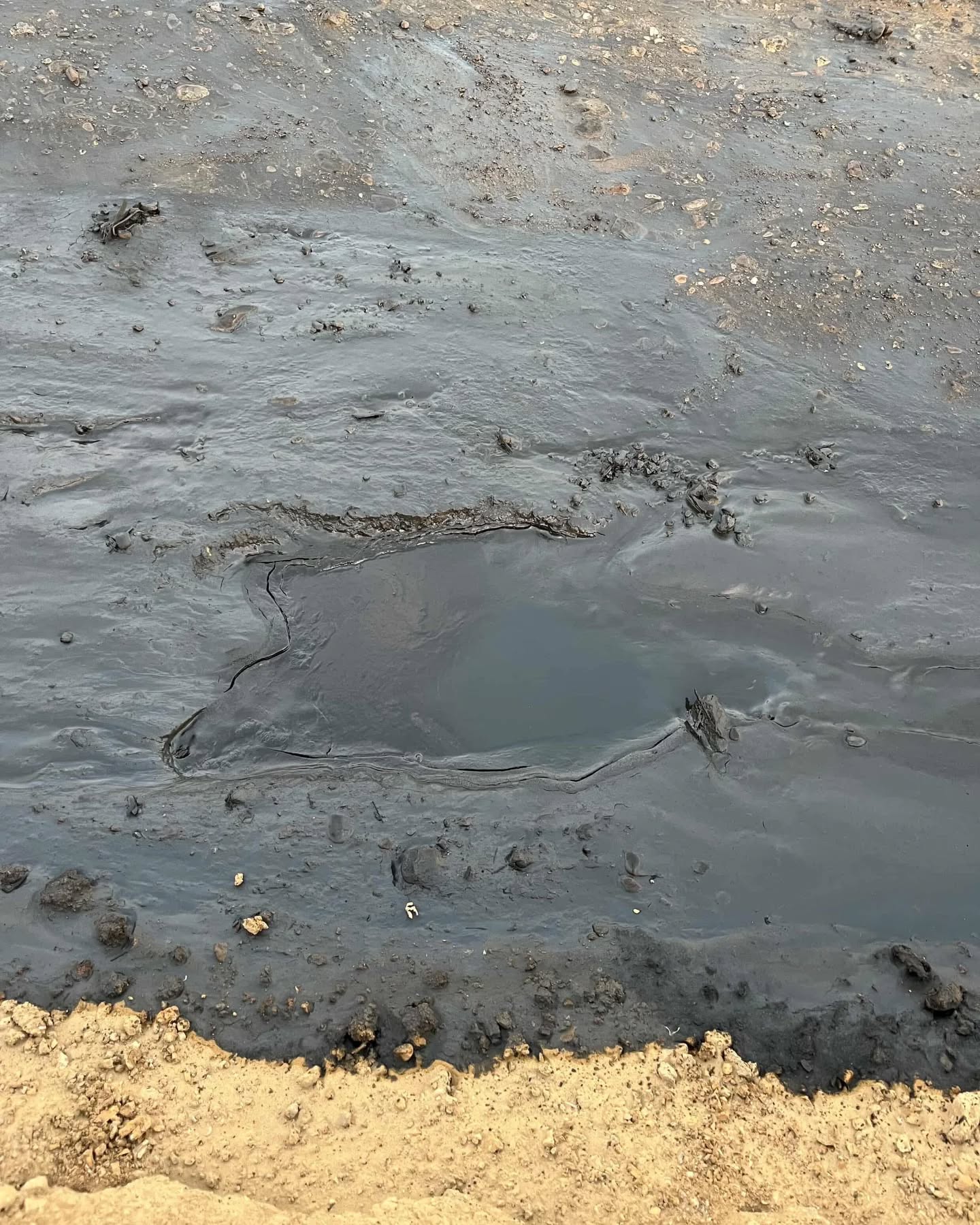 derrame petroleo lobitos