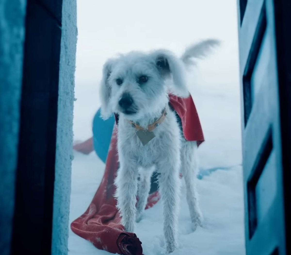Krypto