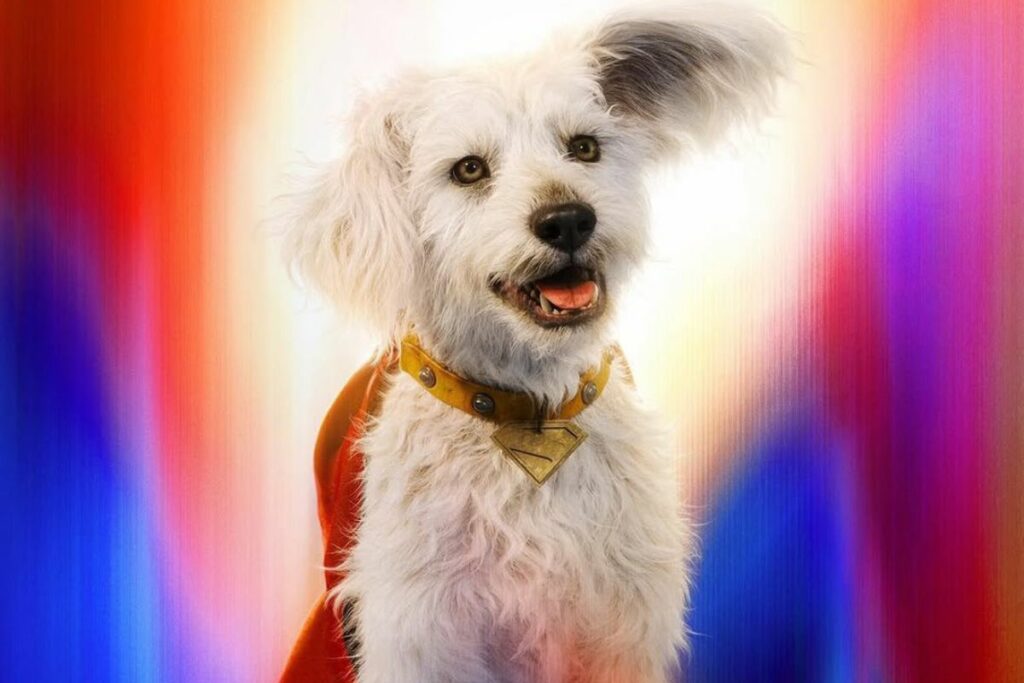 Krypto 