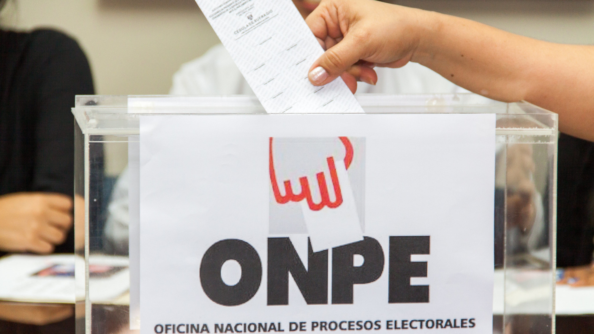 ánfora onpe