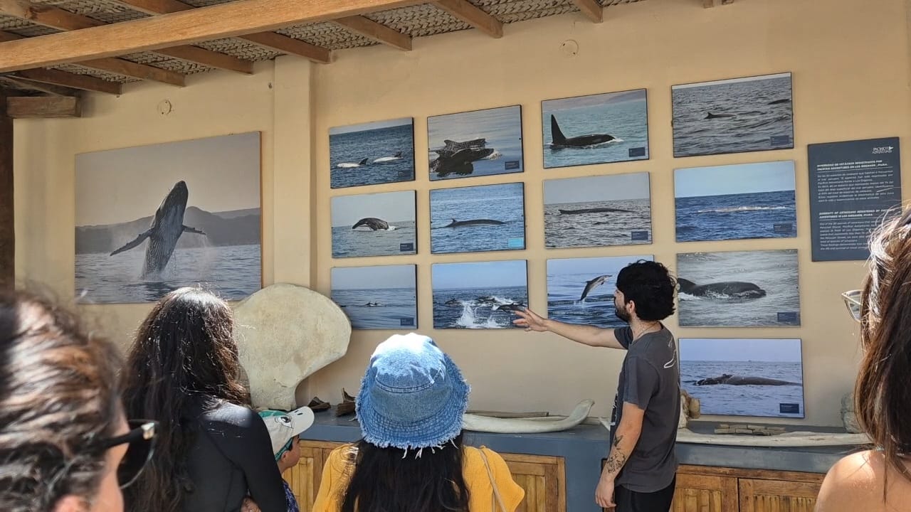 pacifico adventures