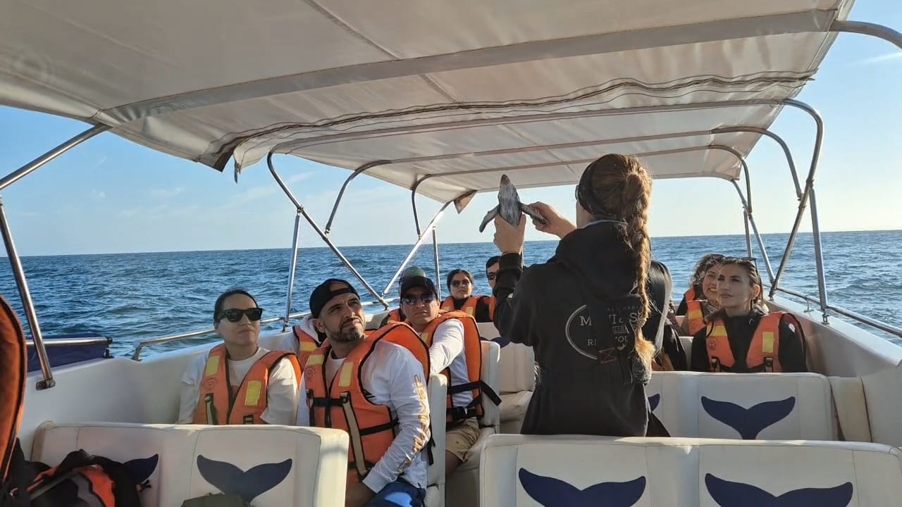 ballena 03