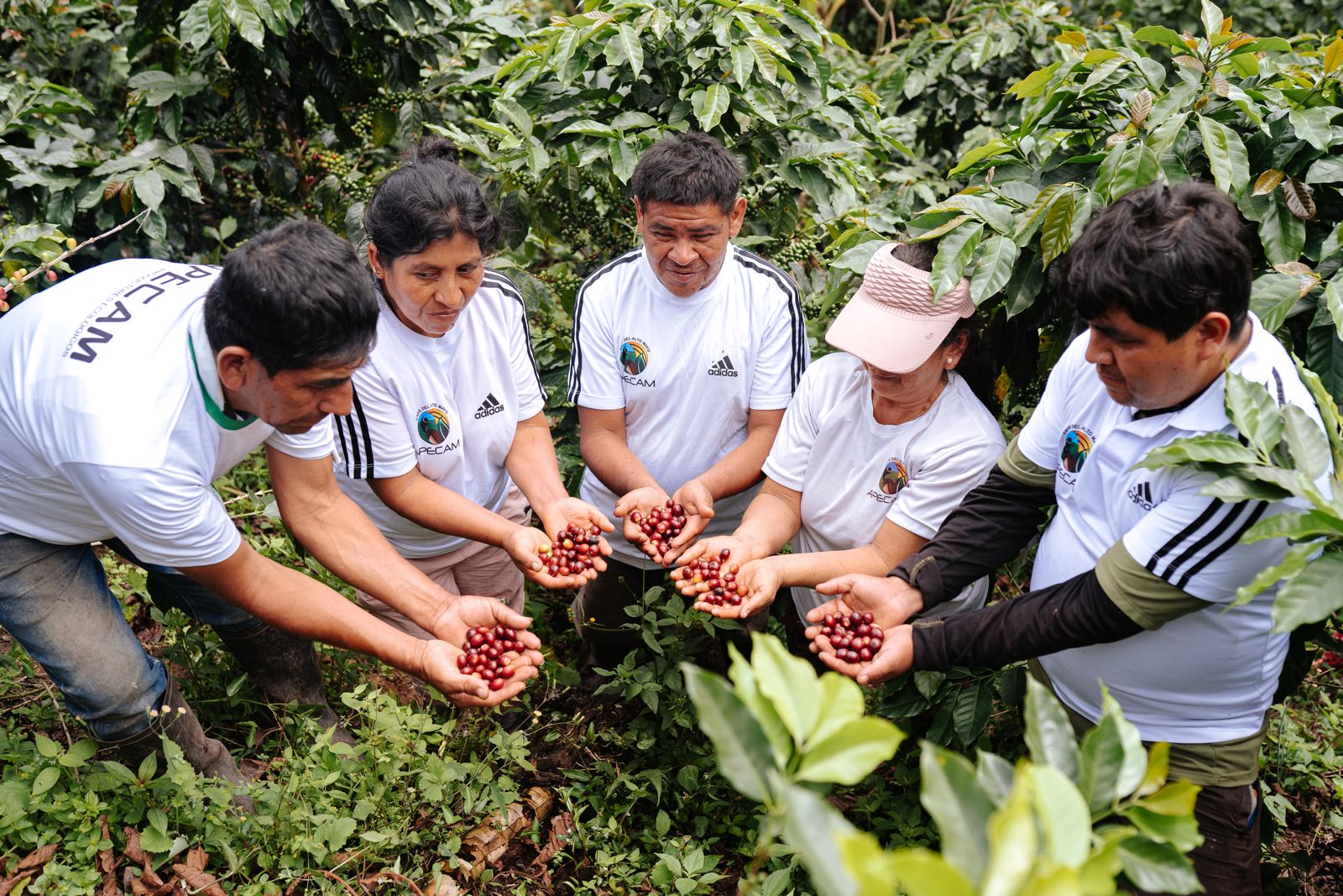 Expoamazonica 2025