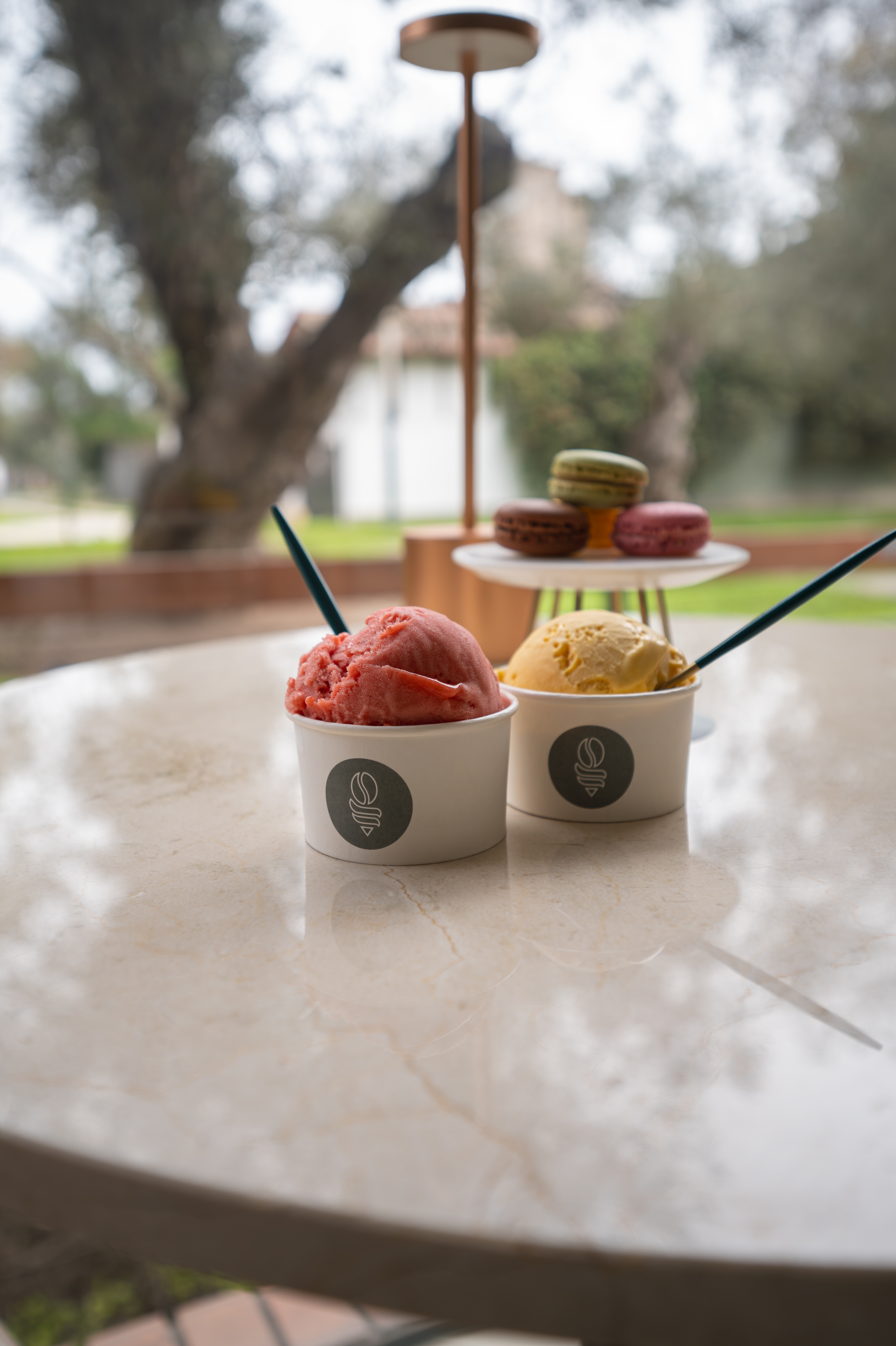 Helados 