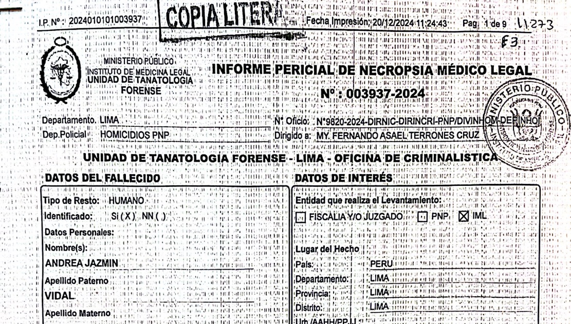 Informe pericial de Andrea Vidal