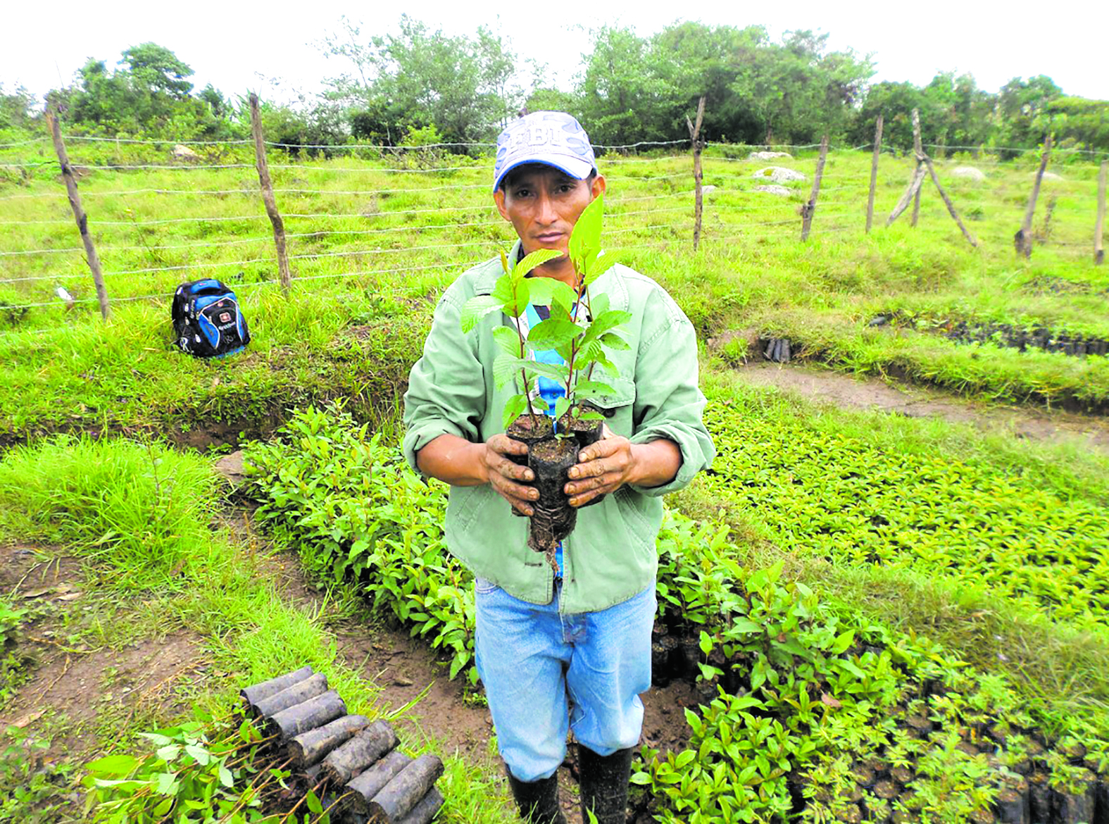 Reforestación. Es una de las iniciativas de los Merese Hídricos para contribuir al ciclo hidrológico y combatir la escasez del agua.