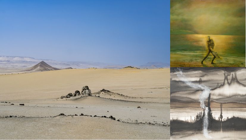 Muestra de arte sobre la Reserva Nacional de Paracas.
