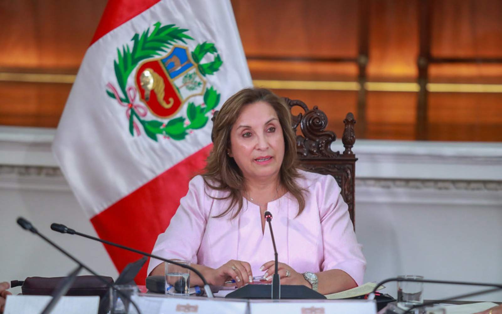 Dina Boluarte 