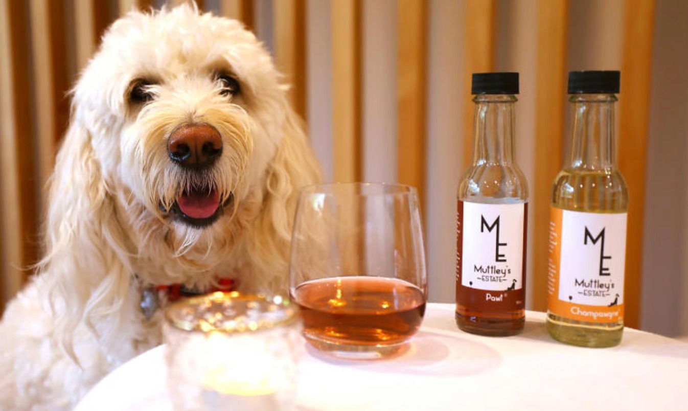 PERROS Y VINO