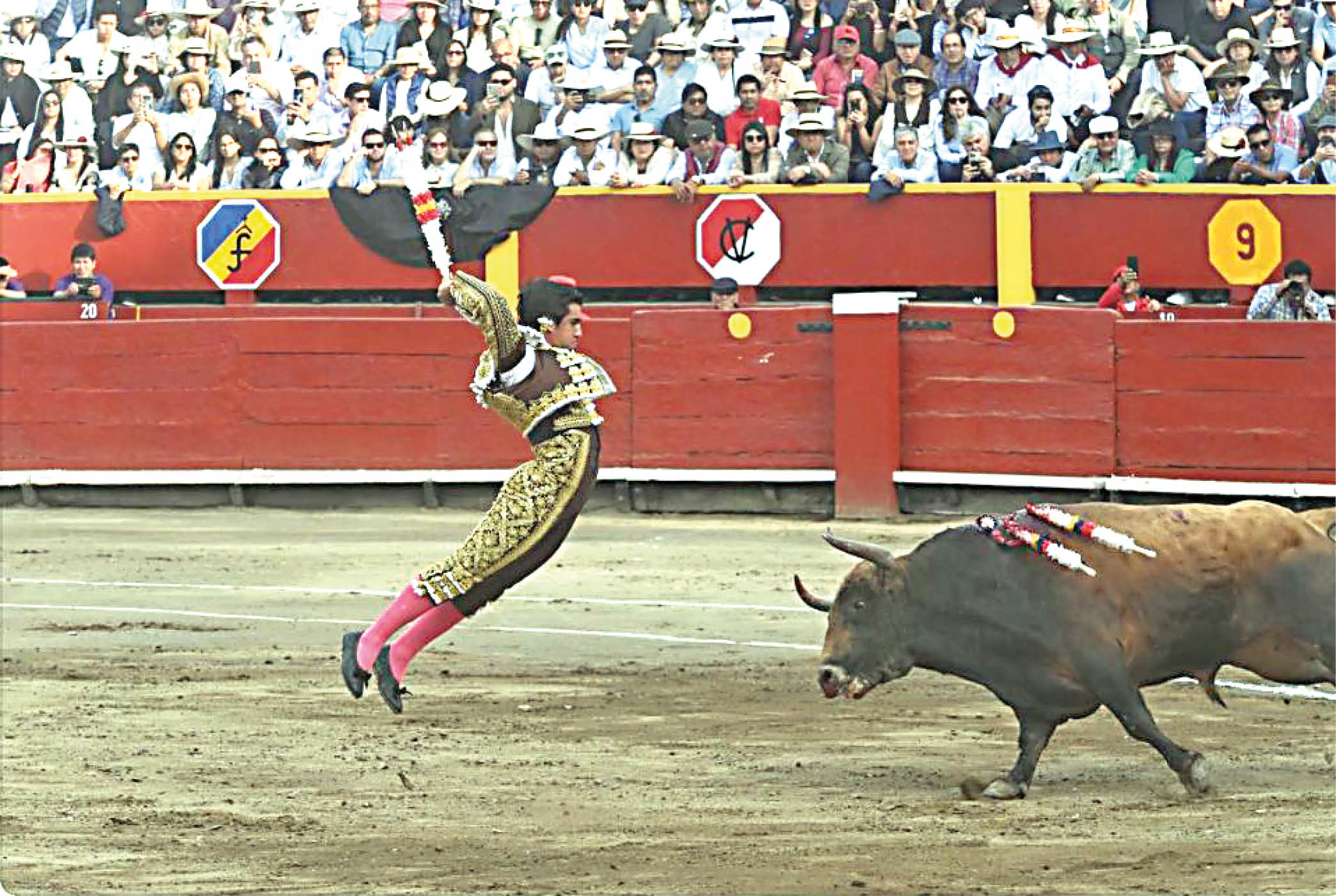 toros