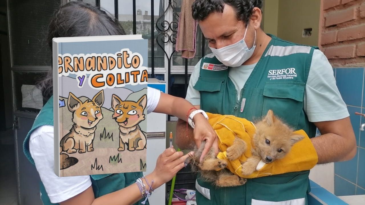 fernandito y colitas