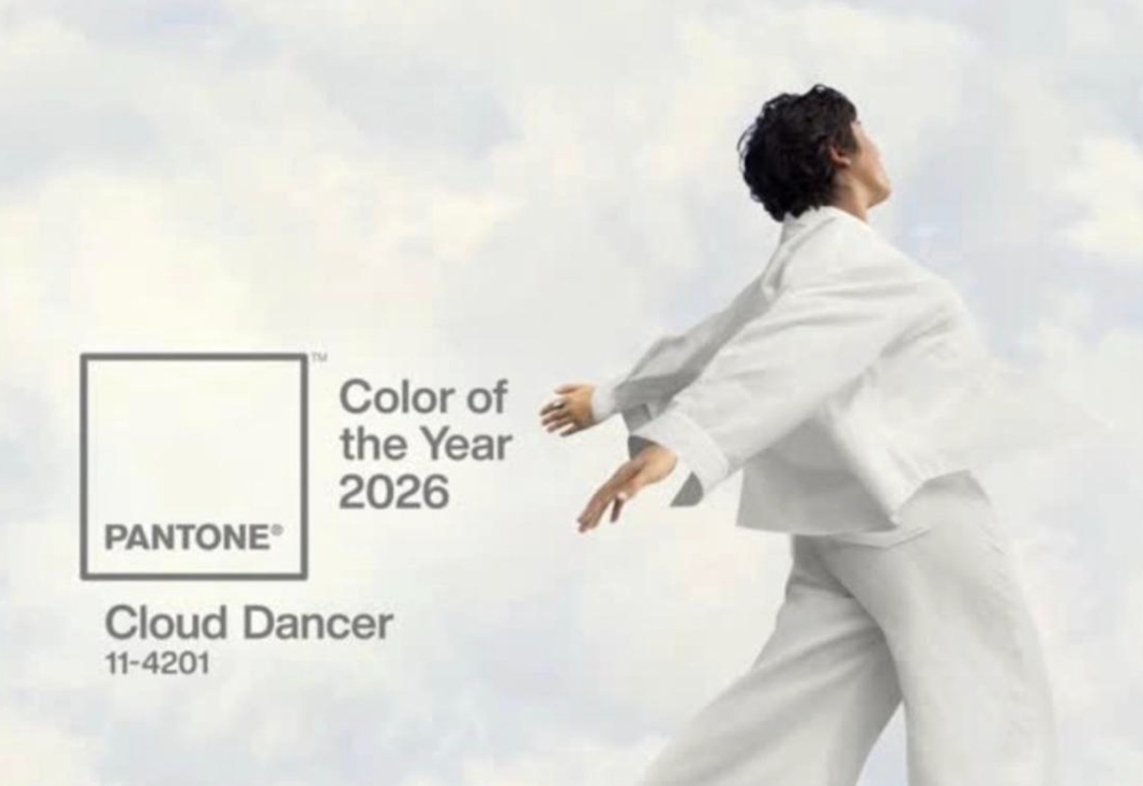 COLOR PANTONE 