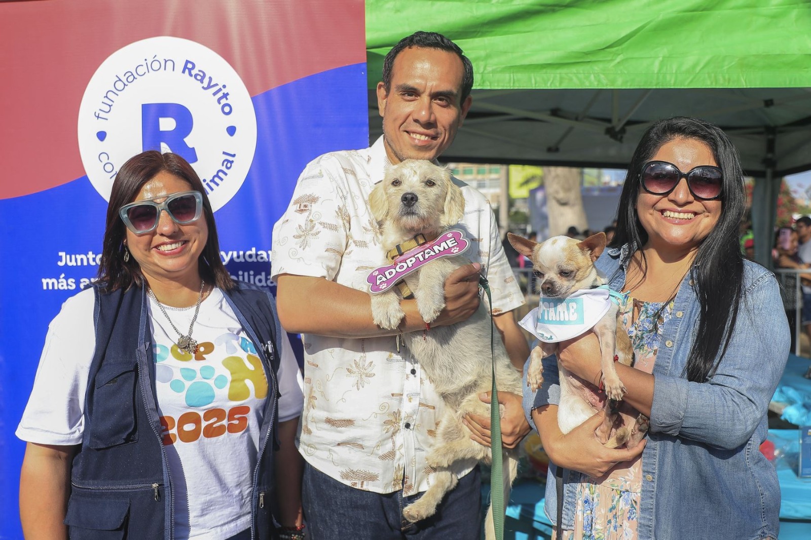 Conoce cómo adoptar una mascota este domingo