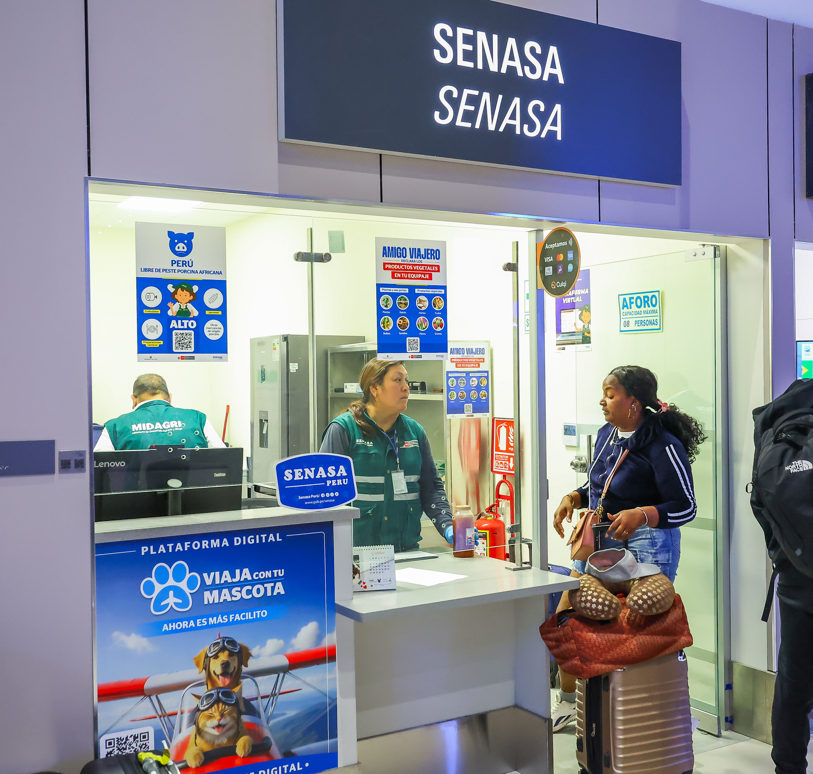 SENASA 