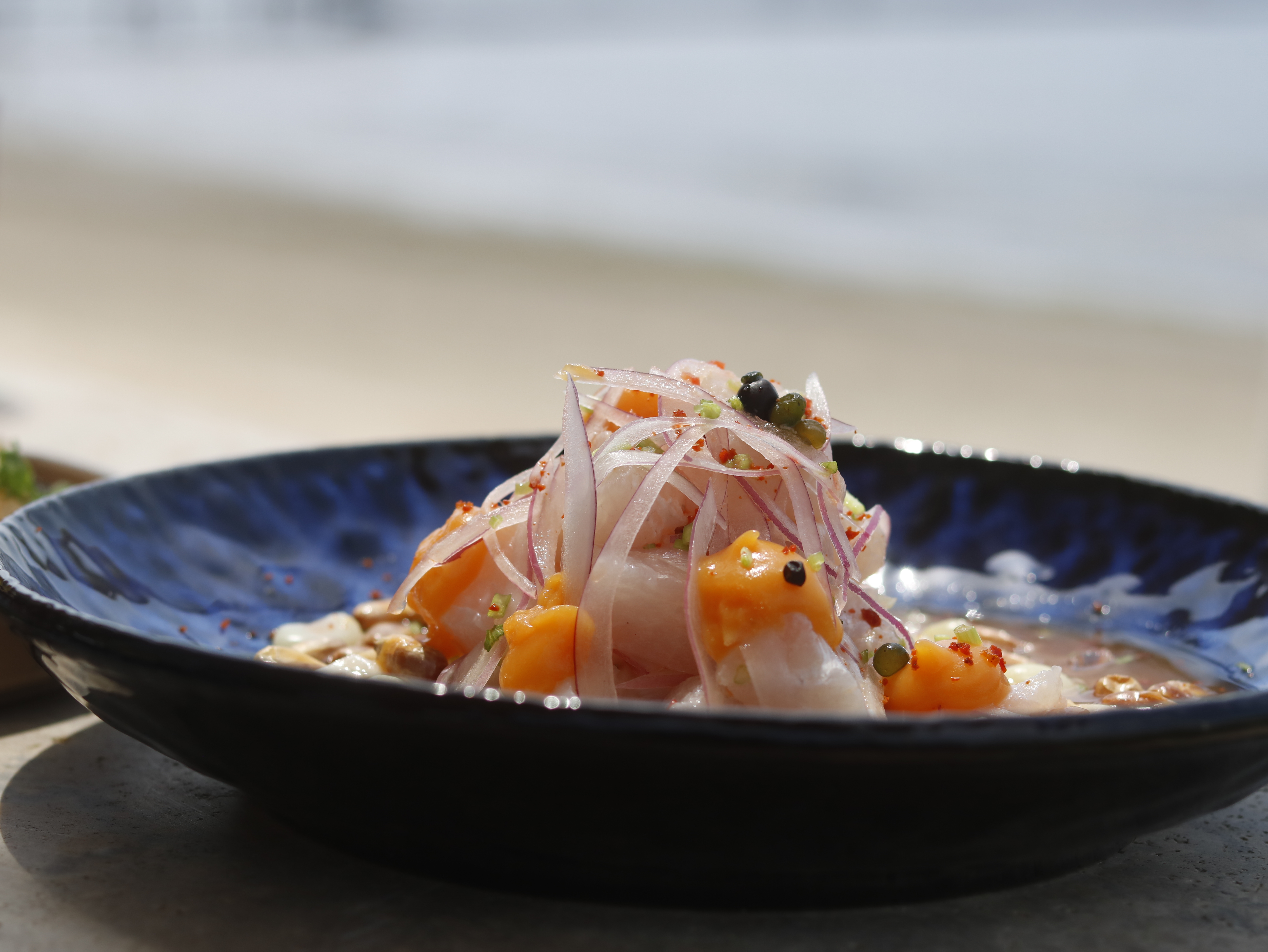 CEBICHE 