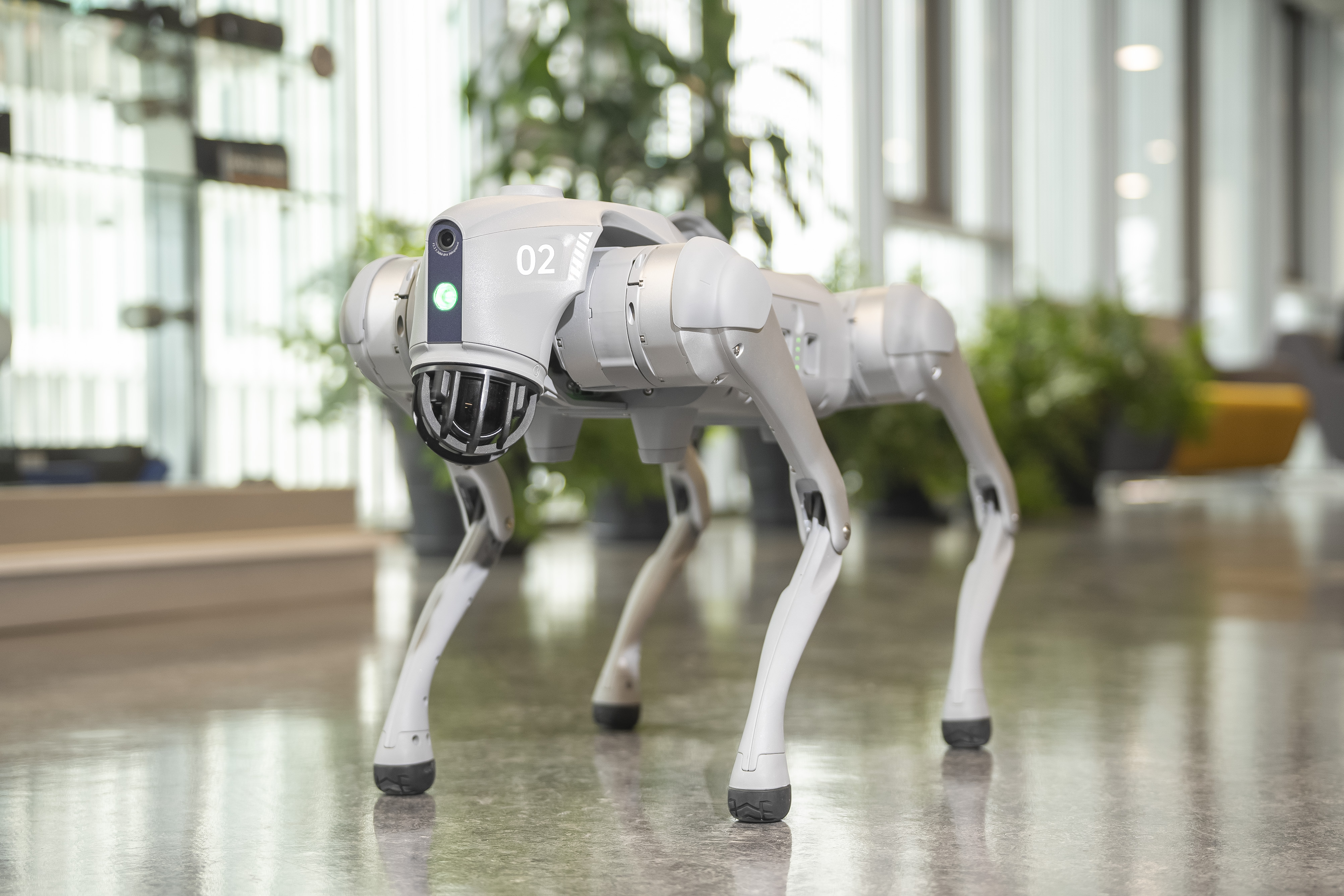 Alqo: el perro robot que se suma a la recuperación del patrimonio histórico del Centro de Lima