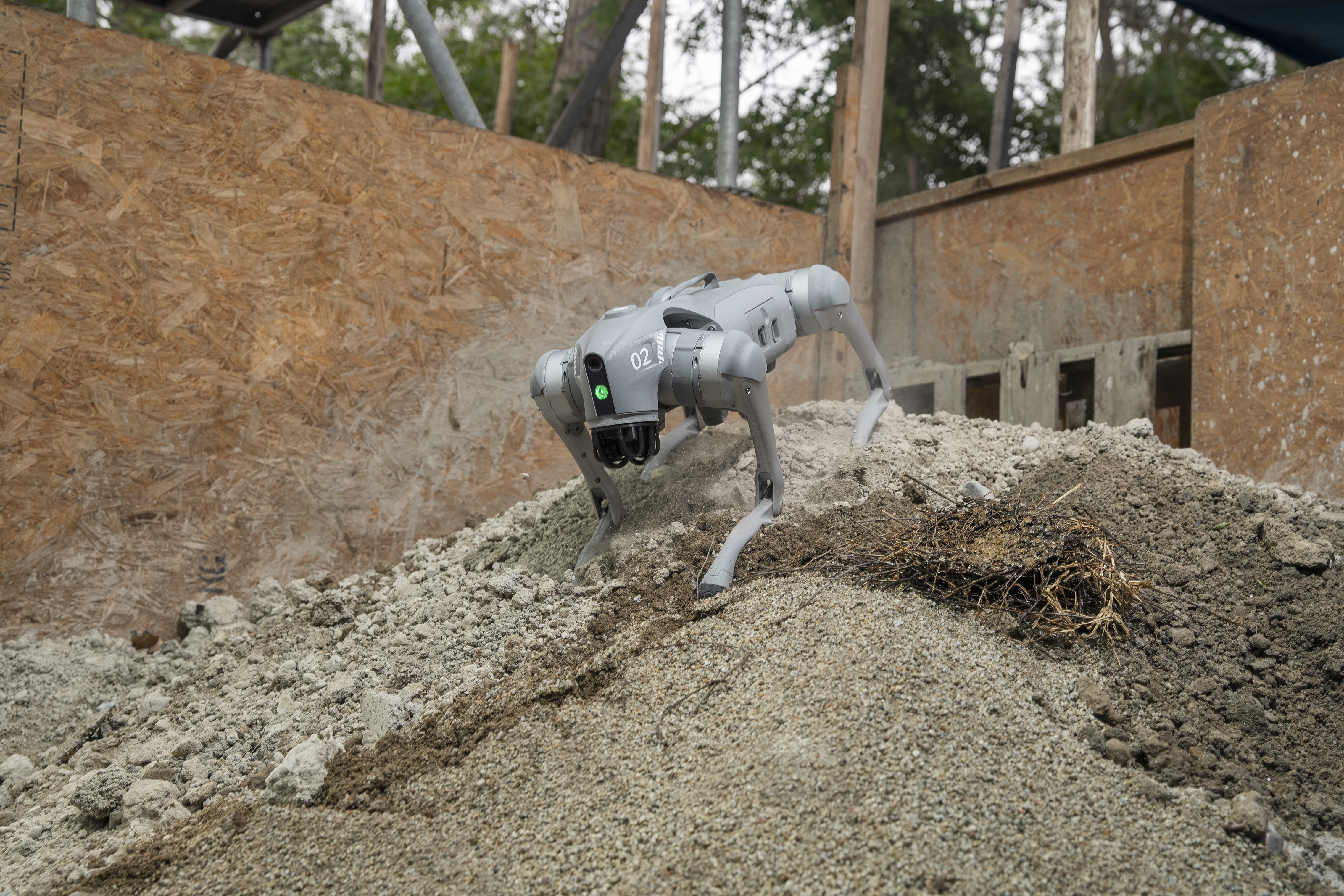 Alqo: el perro robot que se suma a la recuperación del patrimonio histórico del Centro de Lima