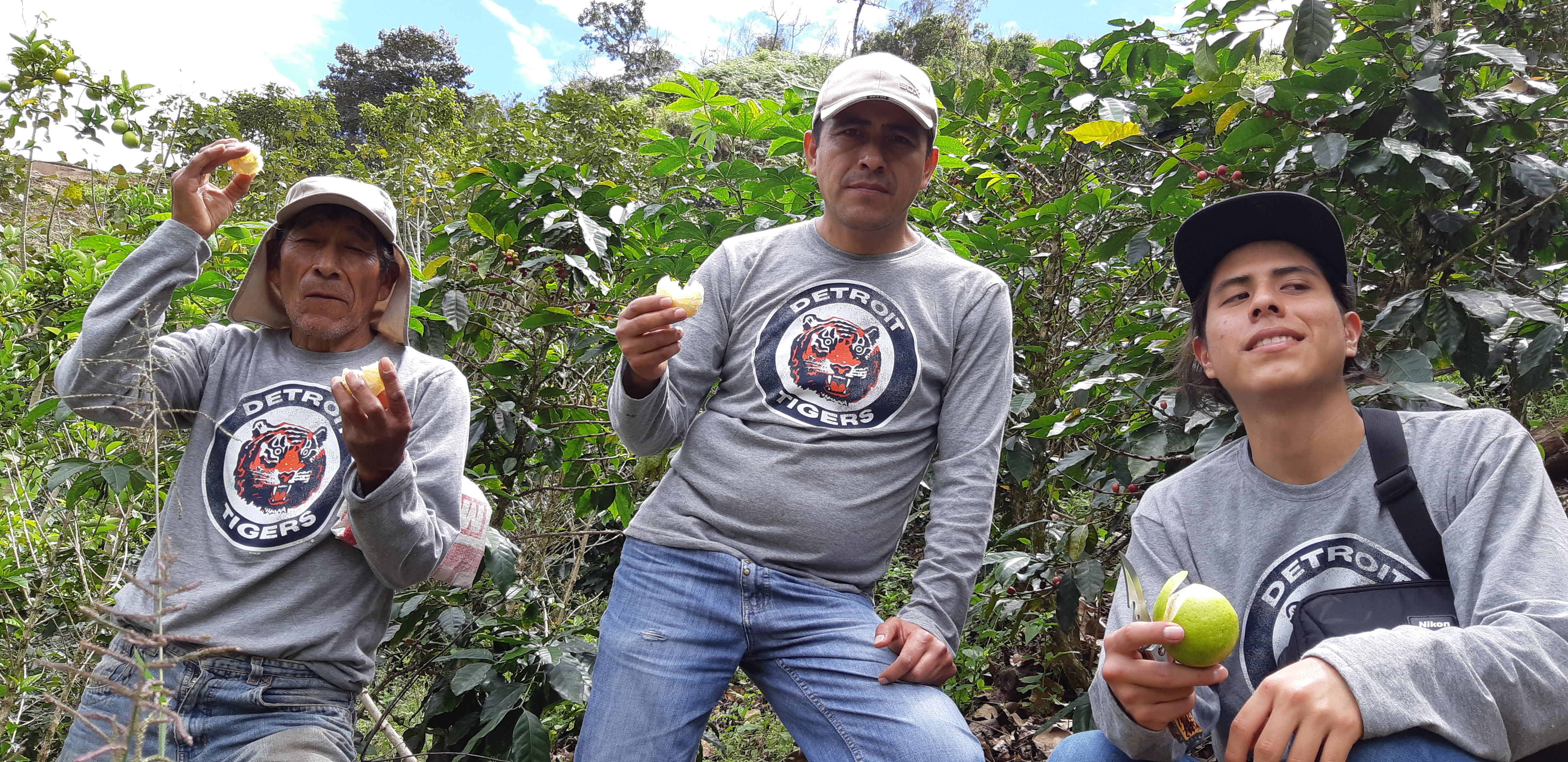 FINCA 