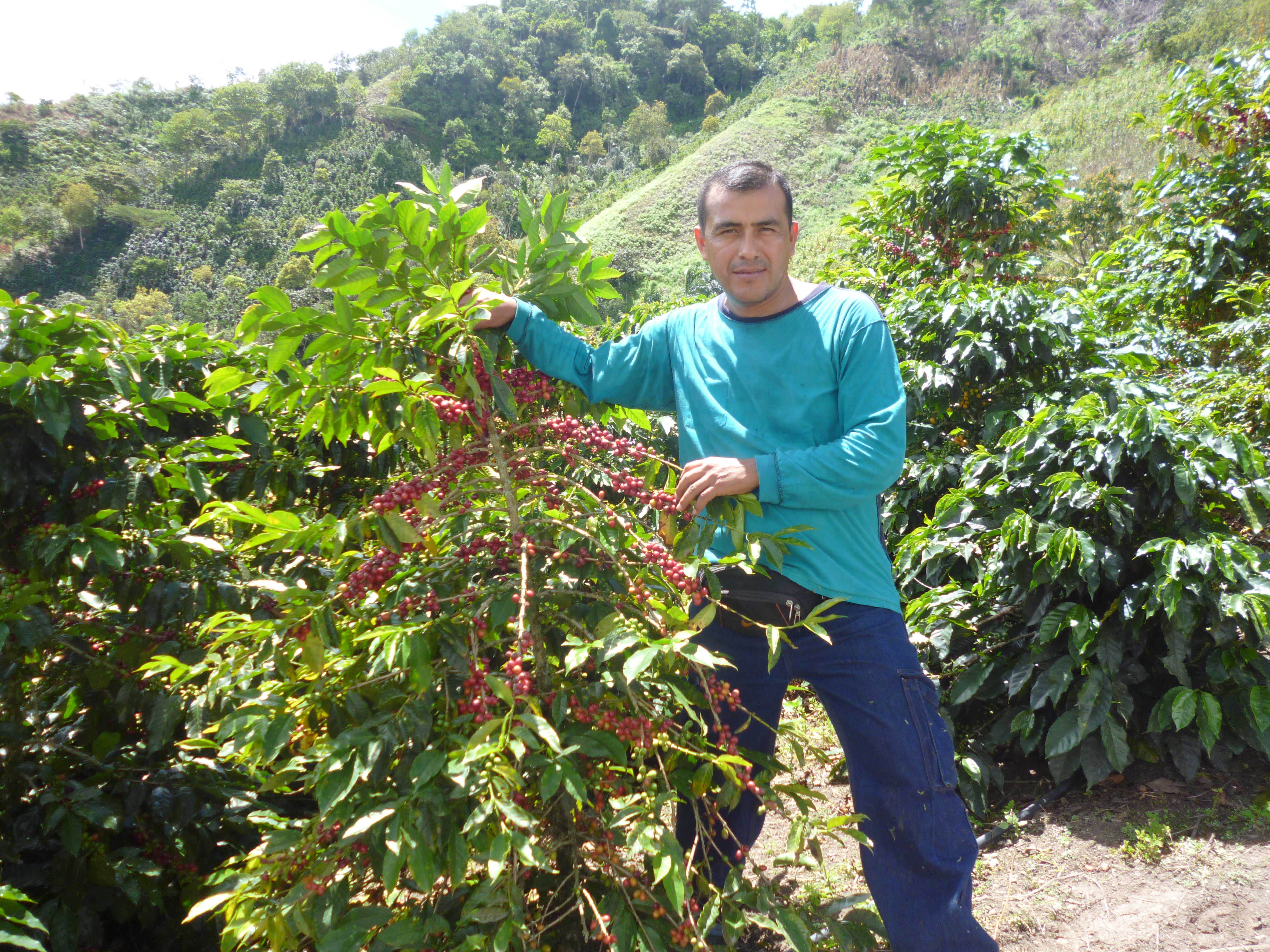 CARLOS LAURA 