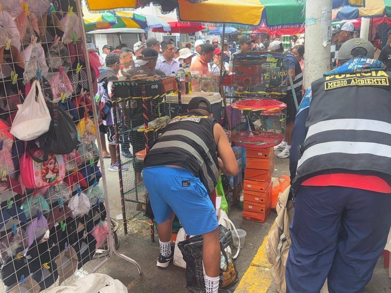 trafico ilegal fauna tumbes