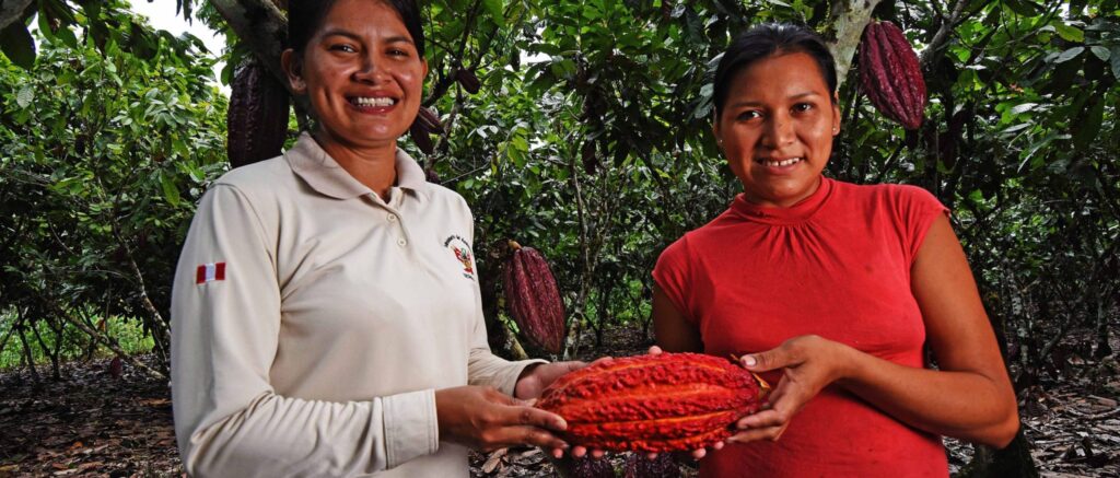 concurso-bioinversion-amazonica-2026