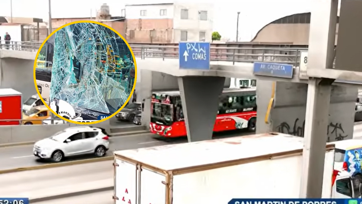 bus