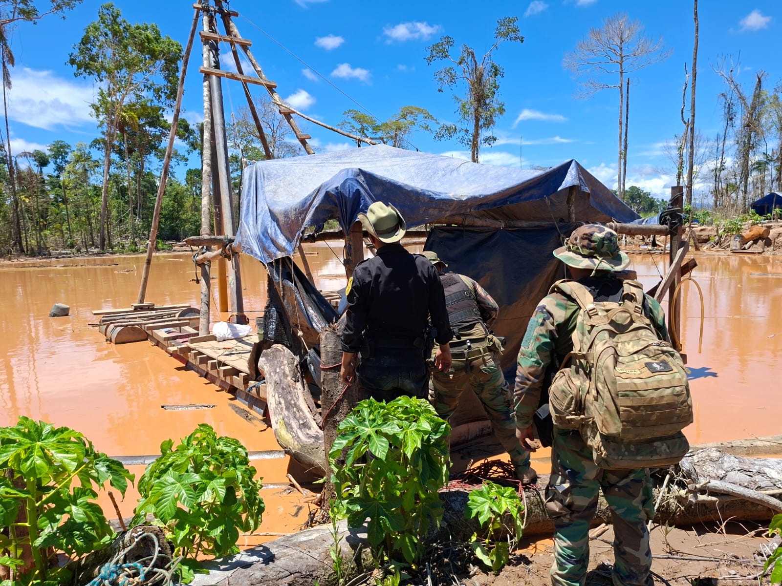interdiccion madre de dios