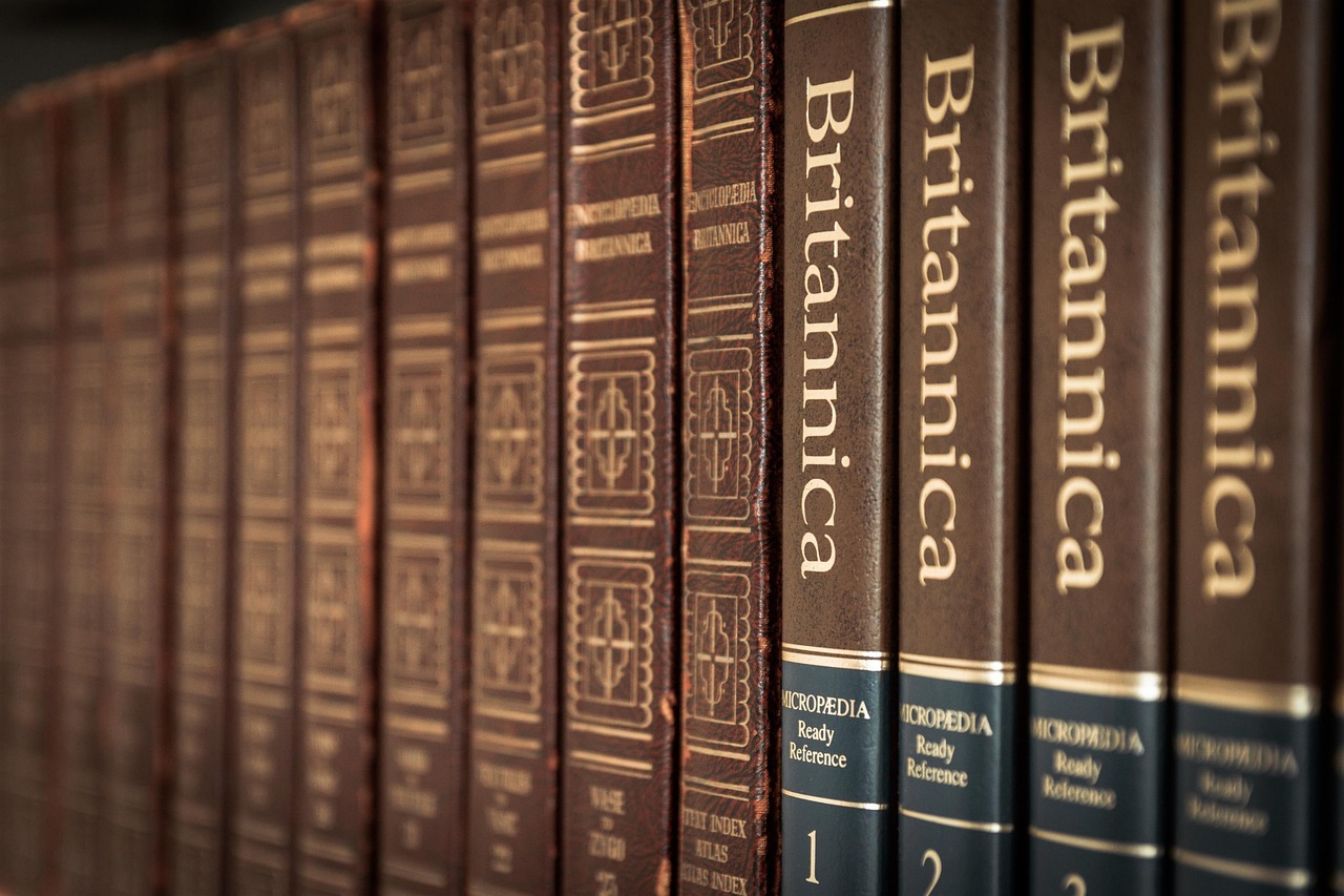 Librería (Foto:pixabay)