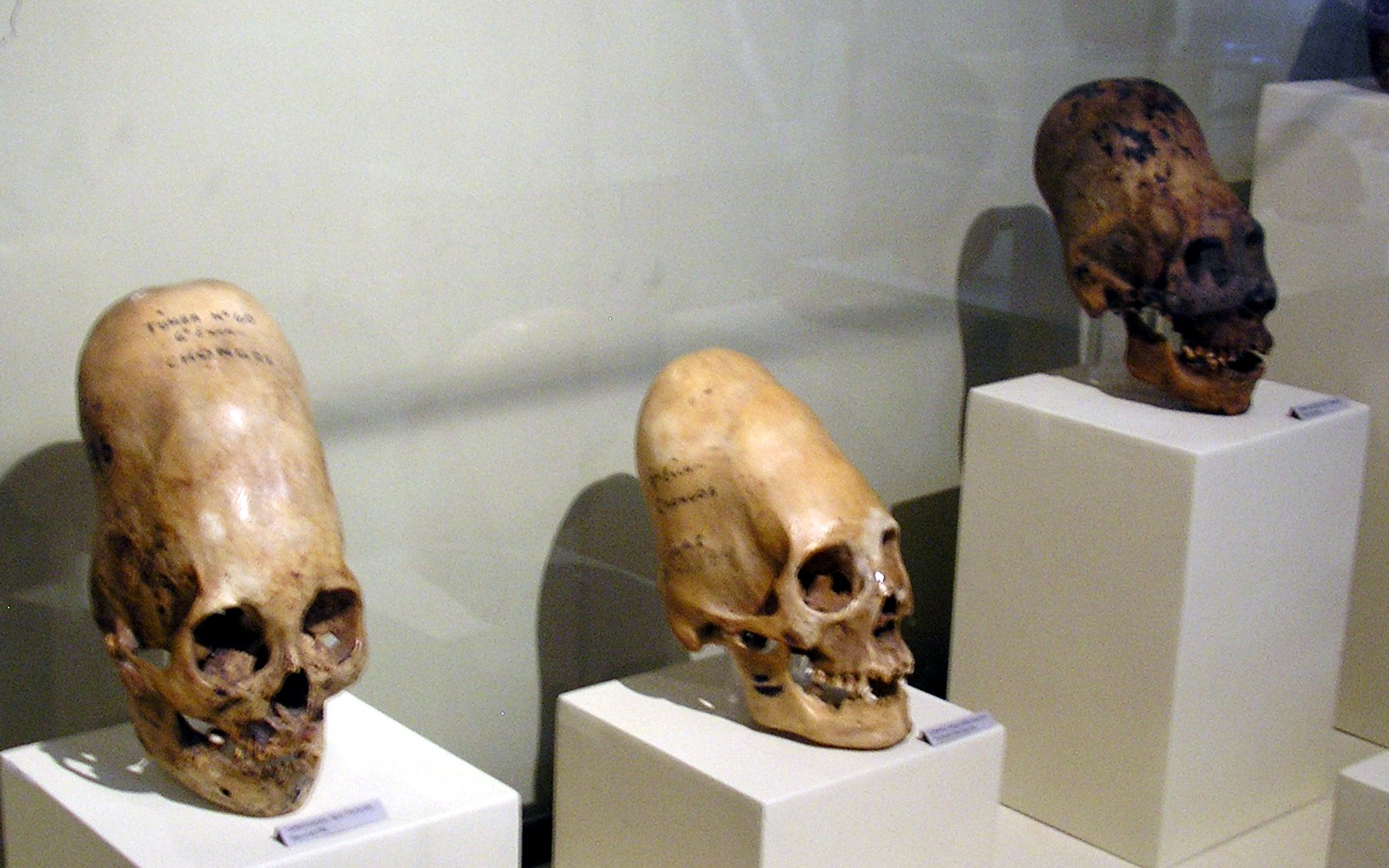 Cultura Paracas