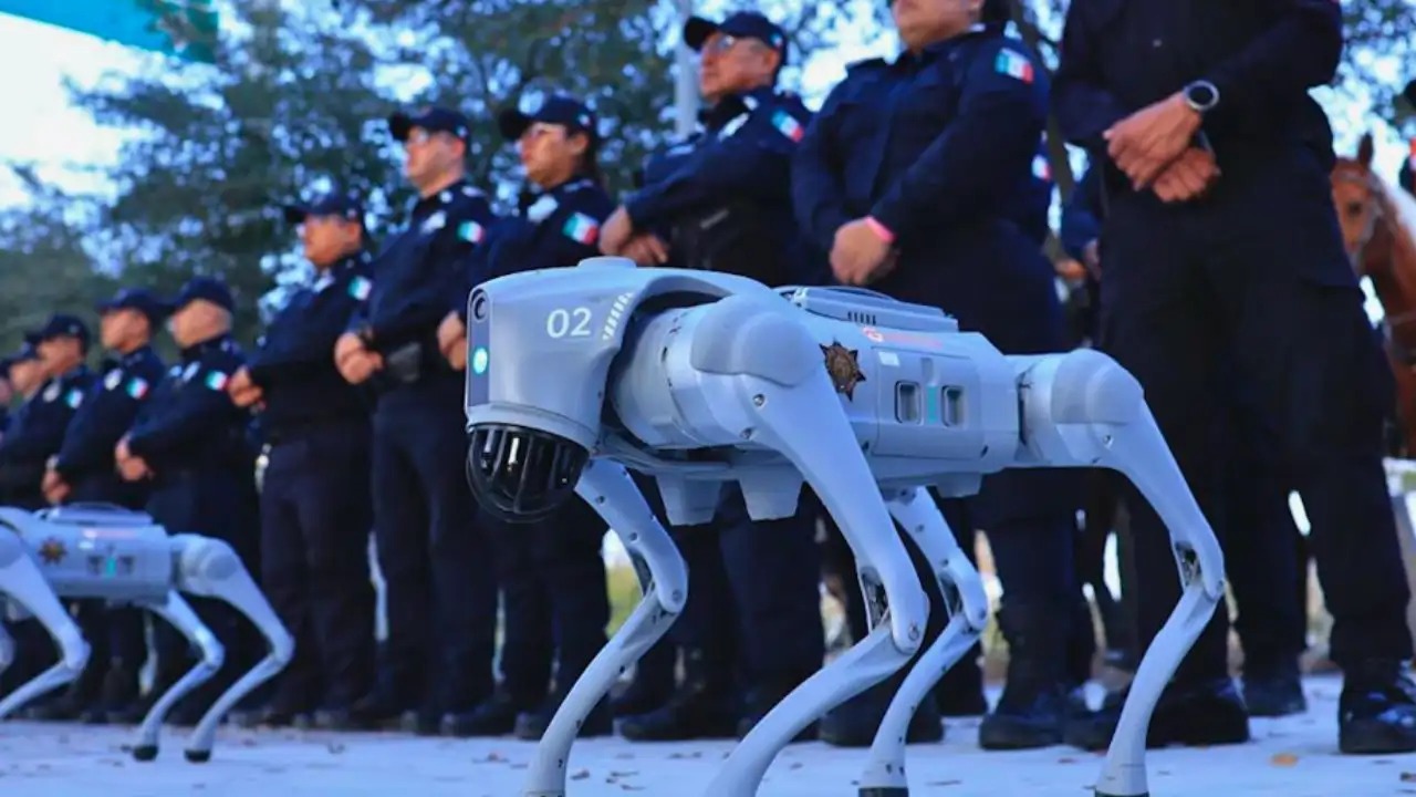 Perro robot México Mundial 2026 Guadalupe estadio Monterrey