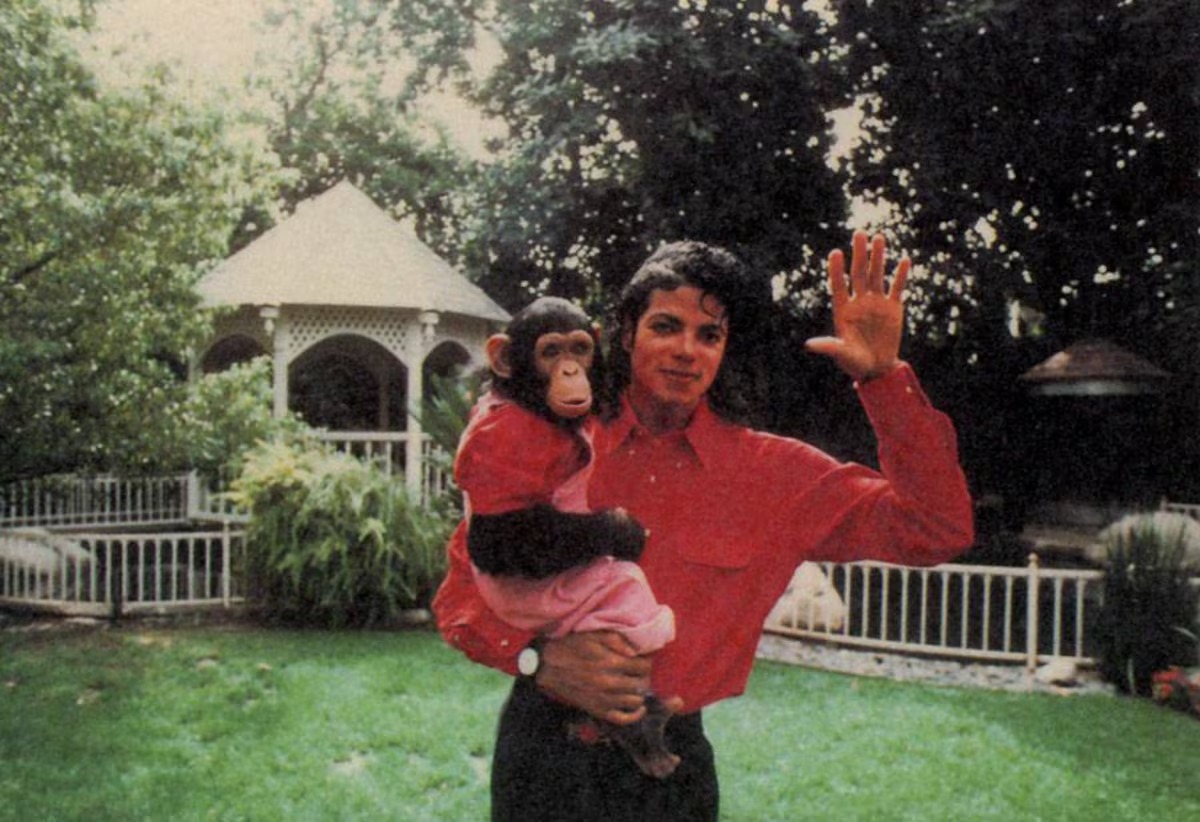Bubbles, el chimpancé de Michael Jackson