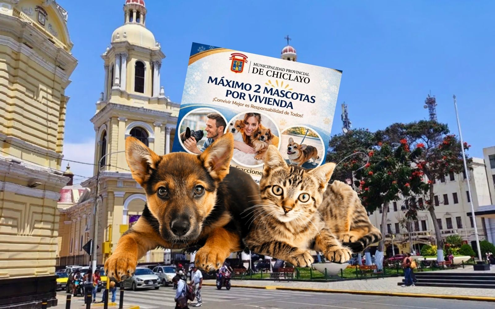 solo dos mascotas por casa chiclayo