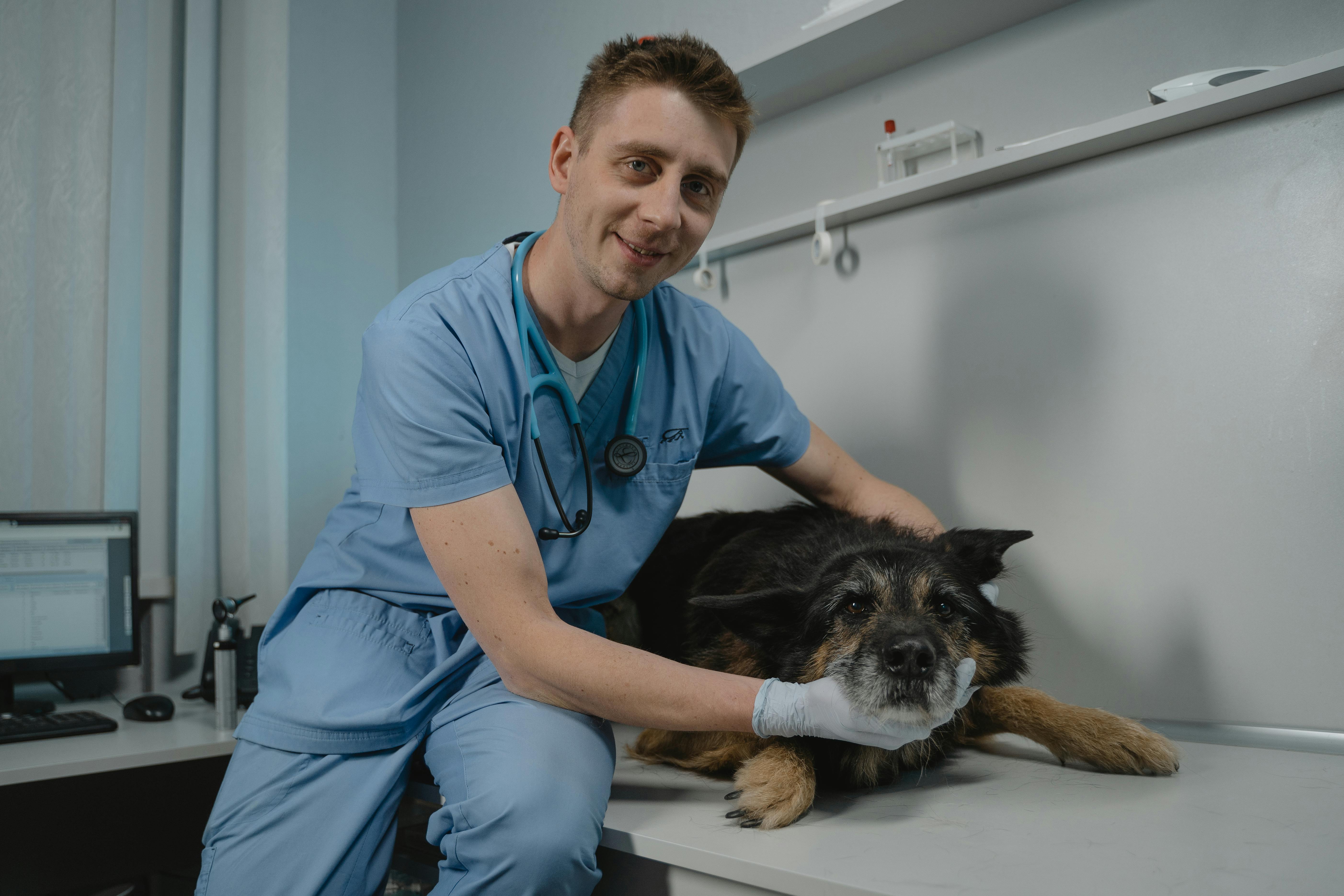 VETERINARIO 
